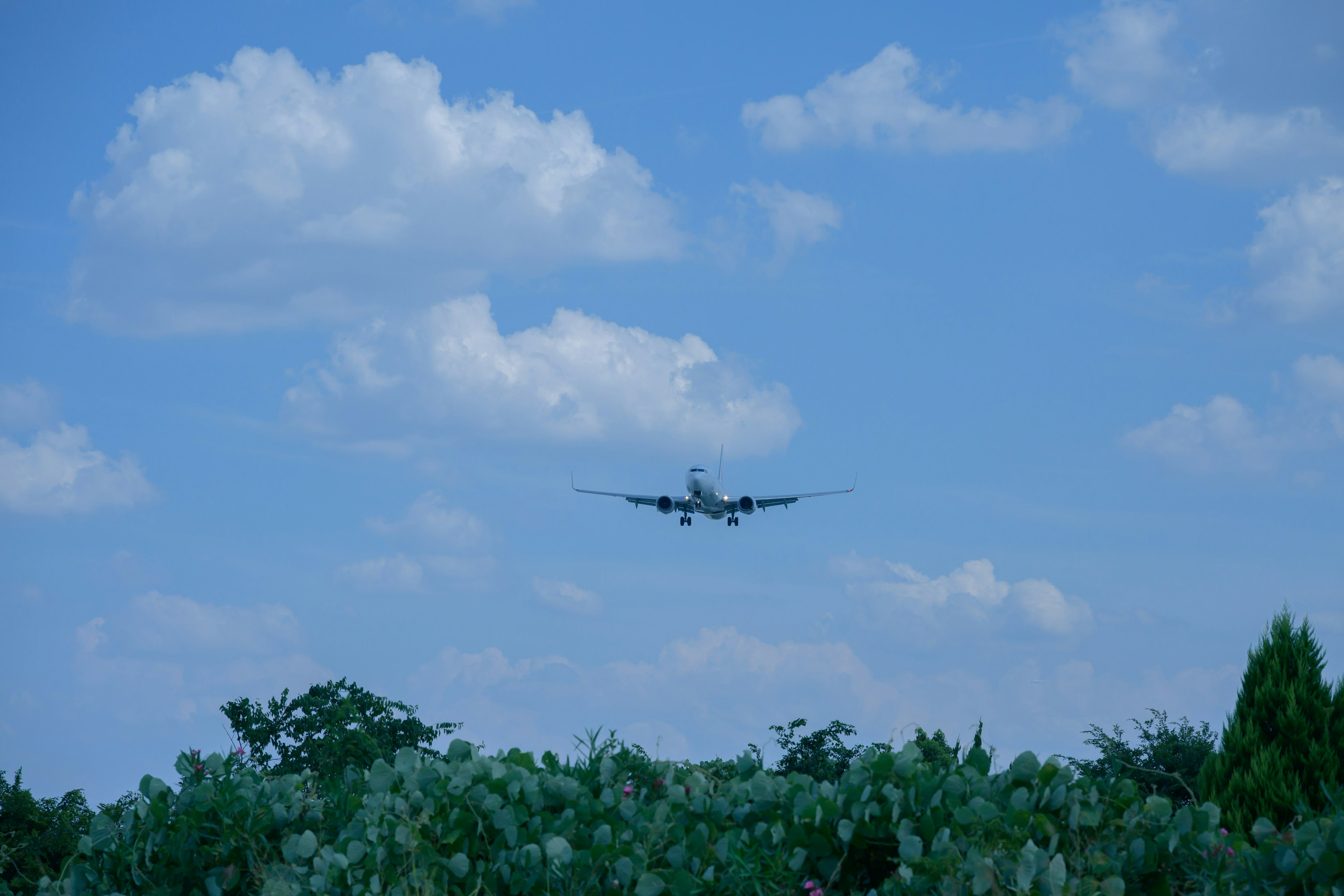 Aereo che vola sotto un cielo blu con nuvole bianche e alberi verdi