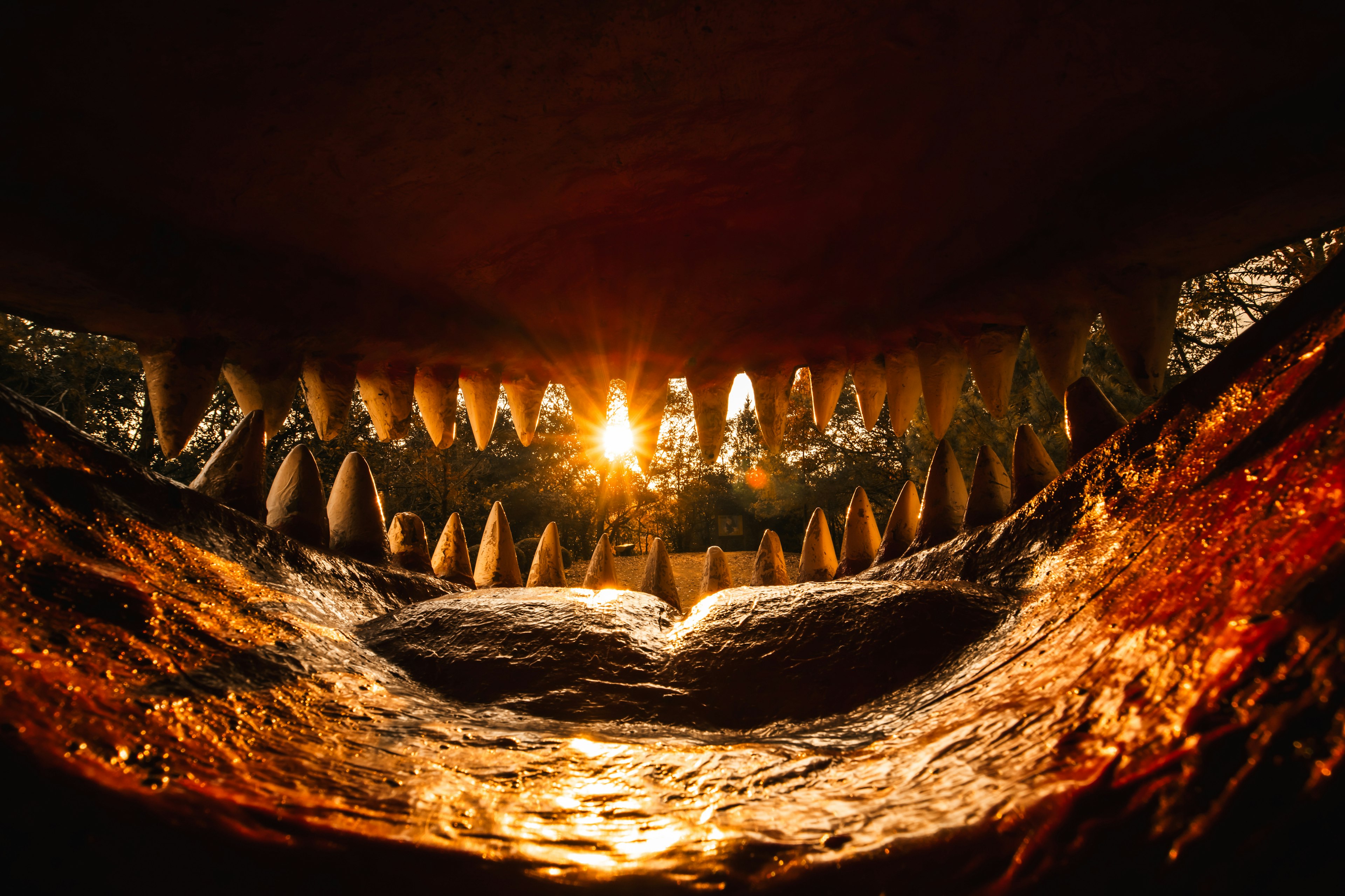 Vista dall'interno della bocca di un gigantesco coccodrillo con la luce del sole che brilla