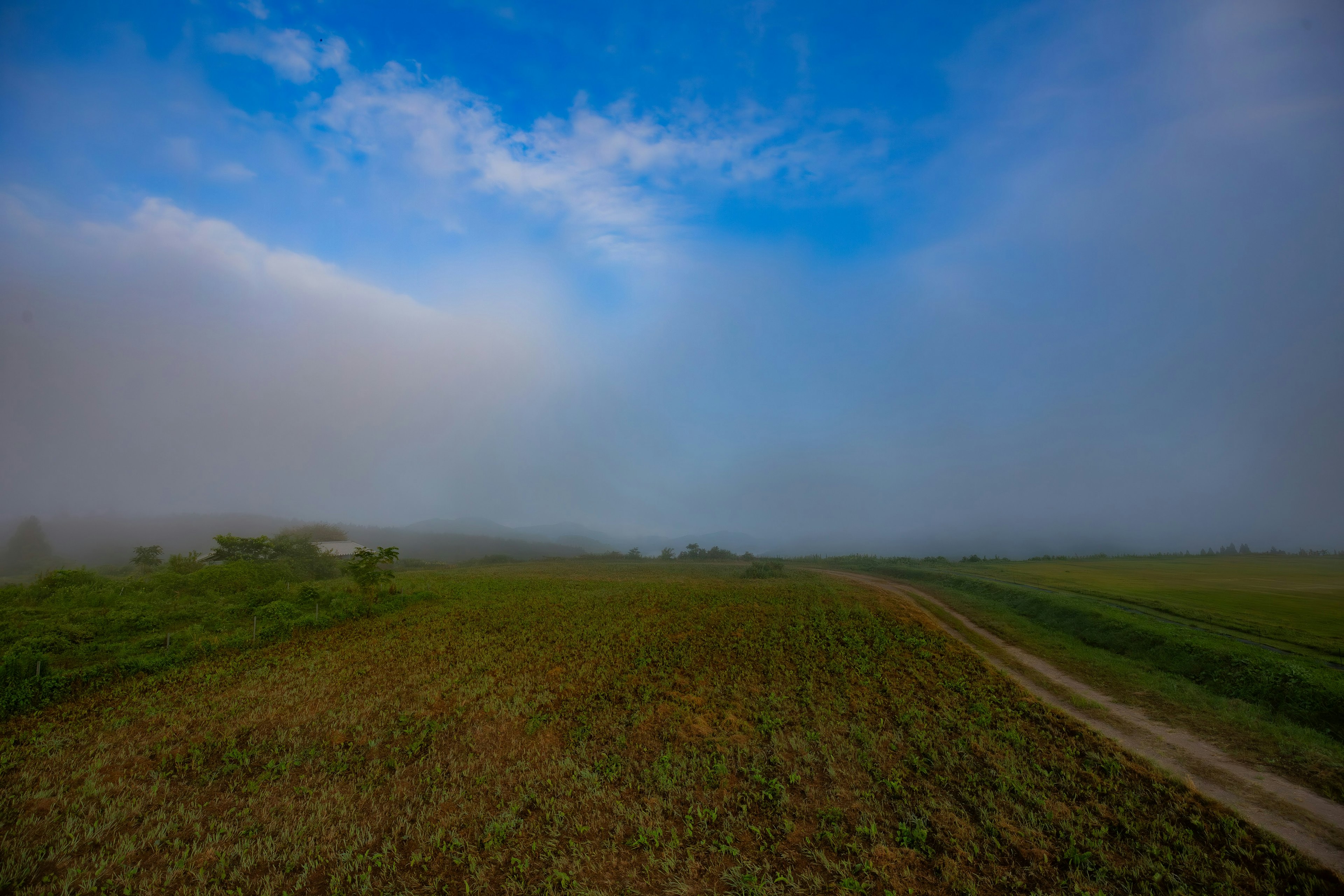 Paisaje brumoso con campos y cielo azul