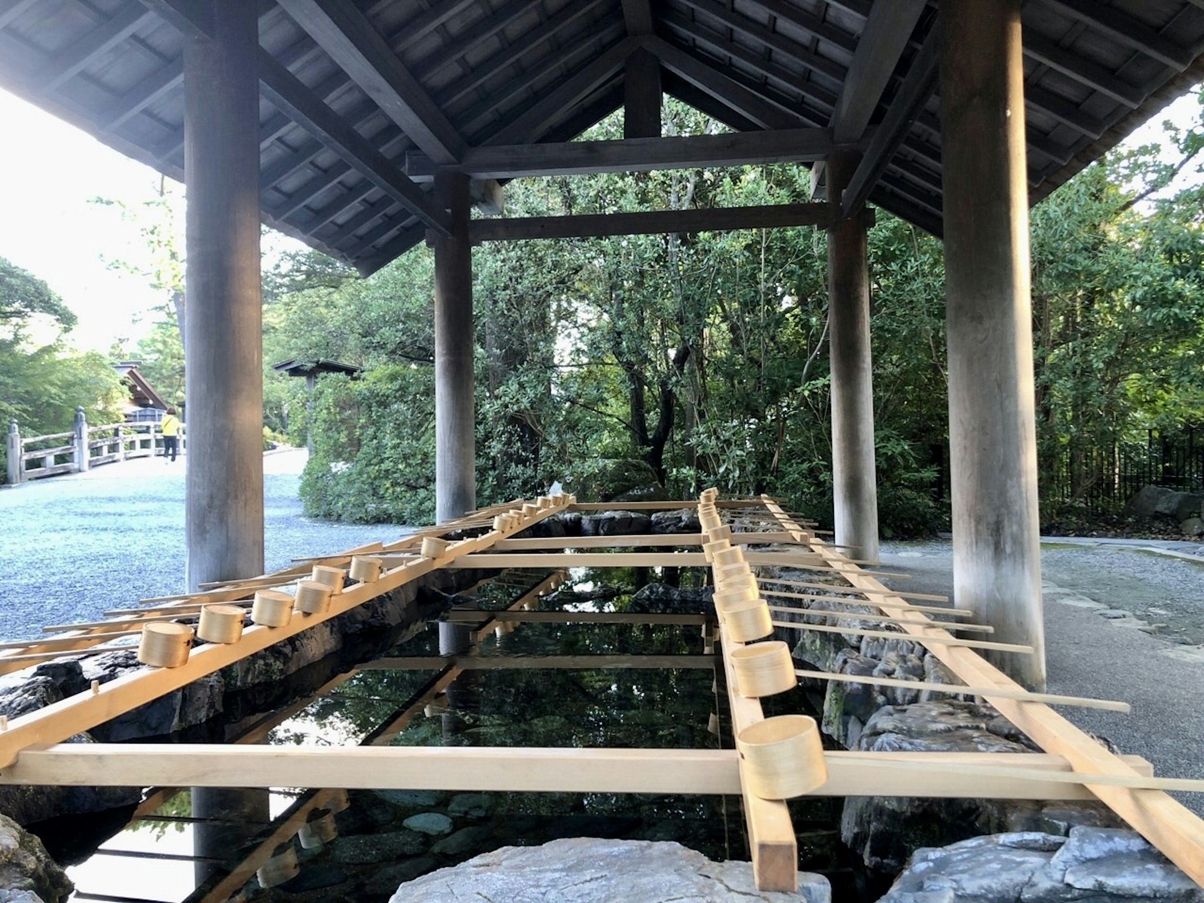 Un puente de madera sobre el agua rodeado de vegetación exuberante