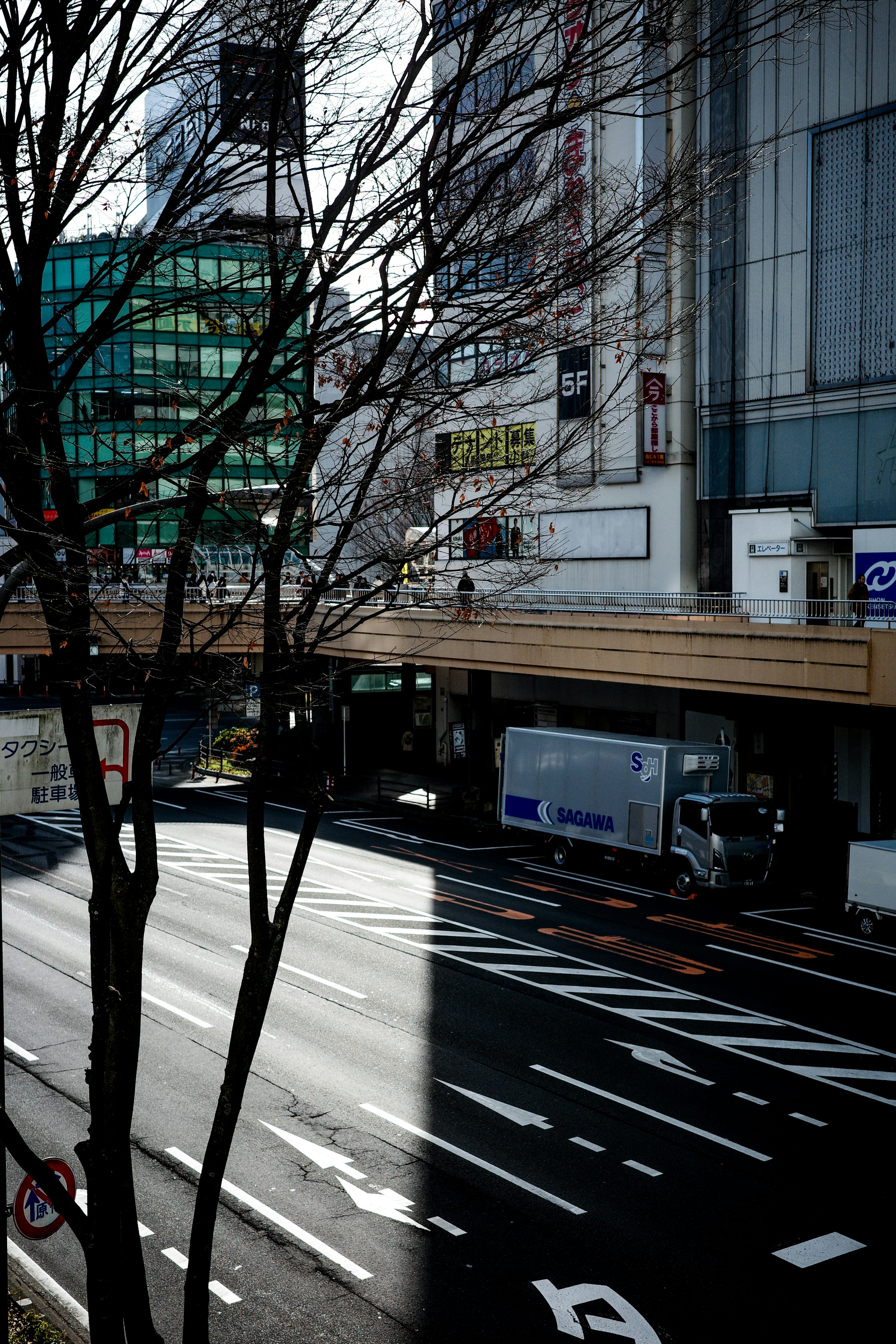 Street view featuring trees and buildings casting shadows