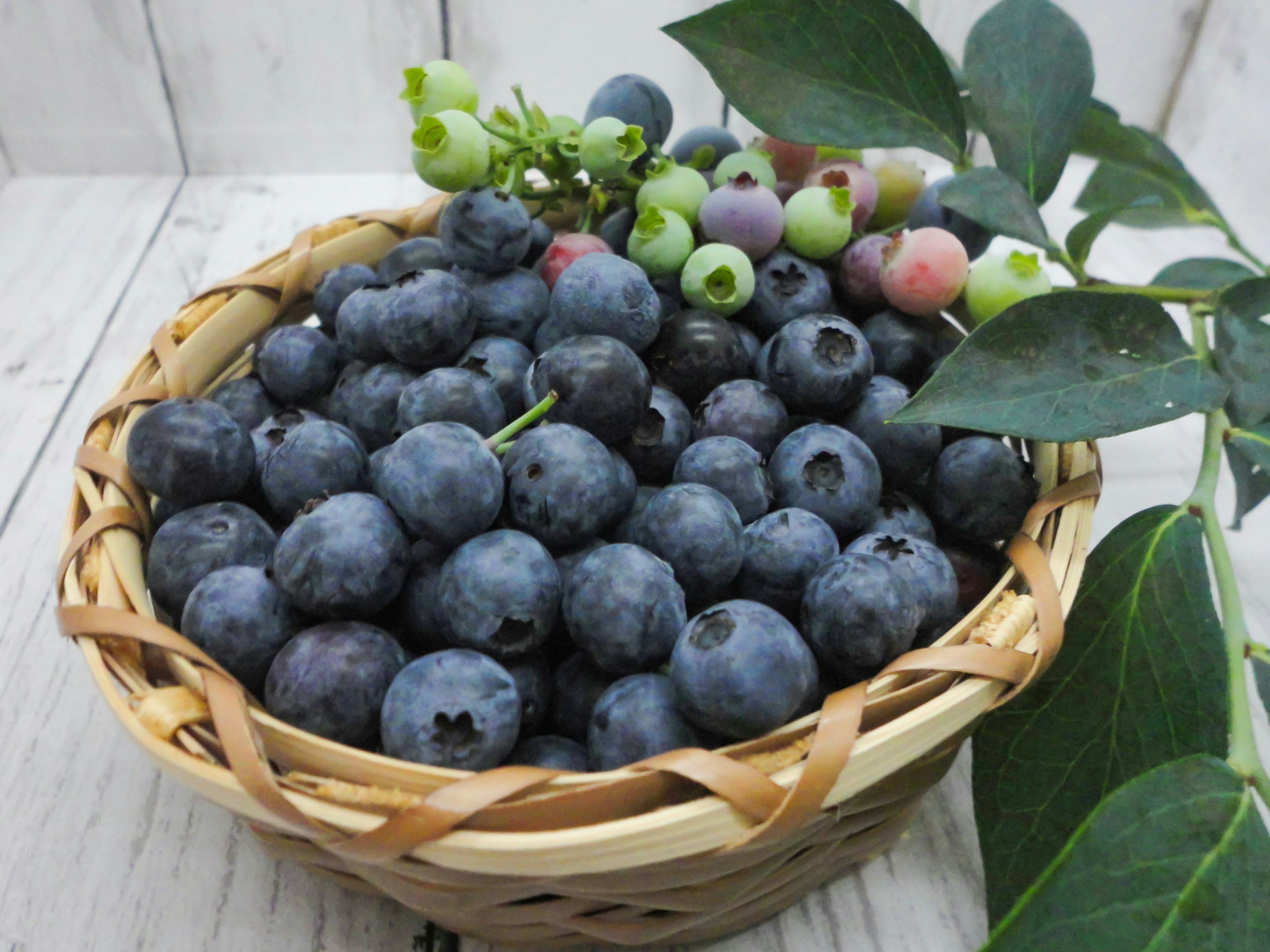 Ein Korb voller Heidelbeeren und grüner Blätter