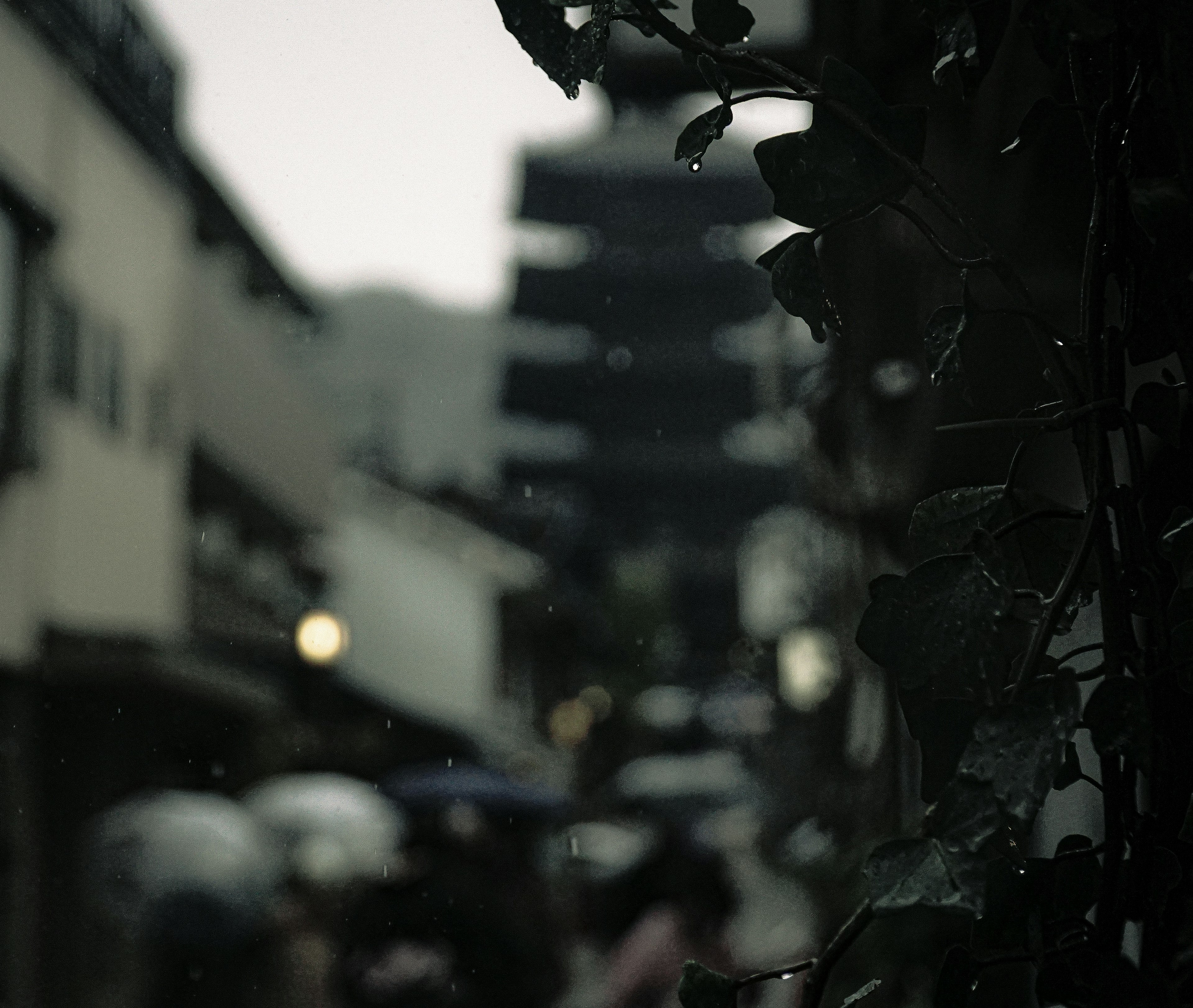 雨の中の街並みと傘をさした人々のシルエット