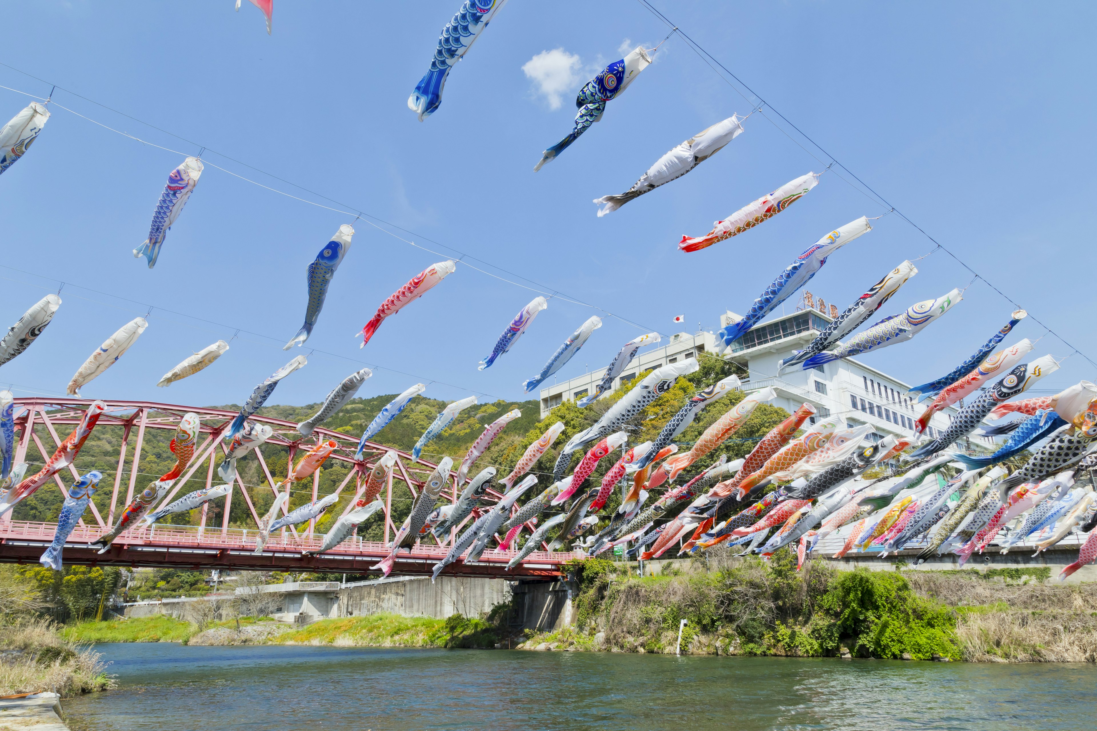 Colorful koi fish flags flying under a blue sky above a river and a red bridge