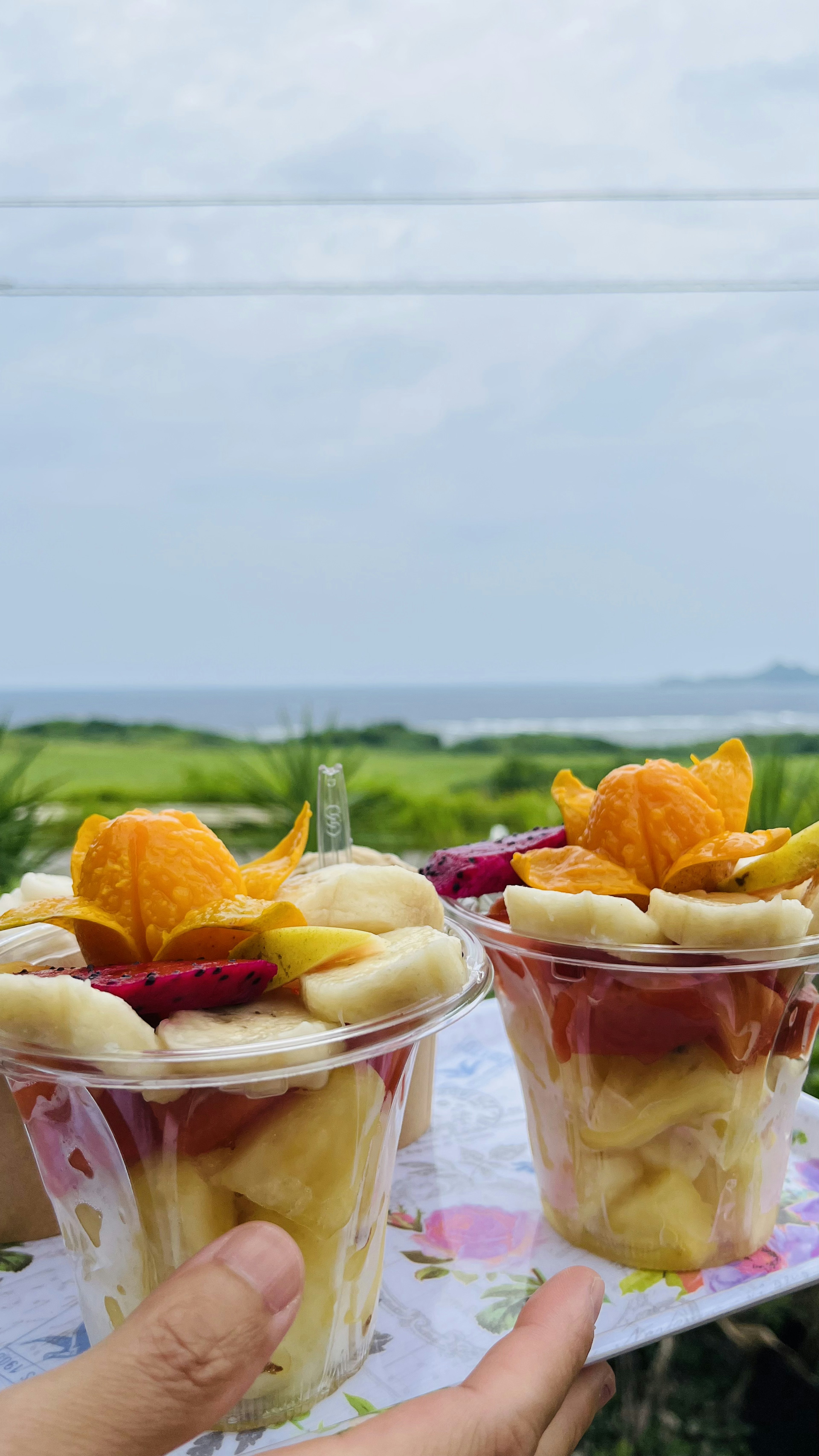 Copas de frutas sostenidas en la mano con un fondo pintoresco de campos verdes y agua