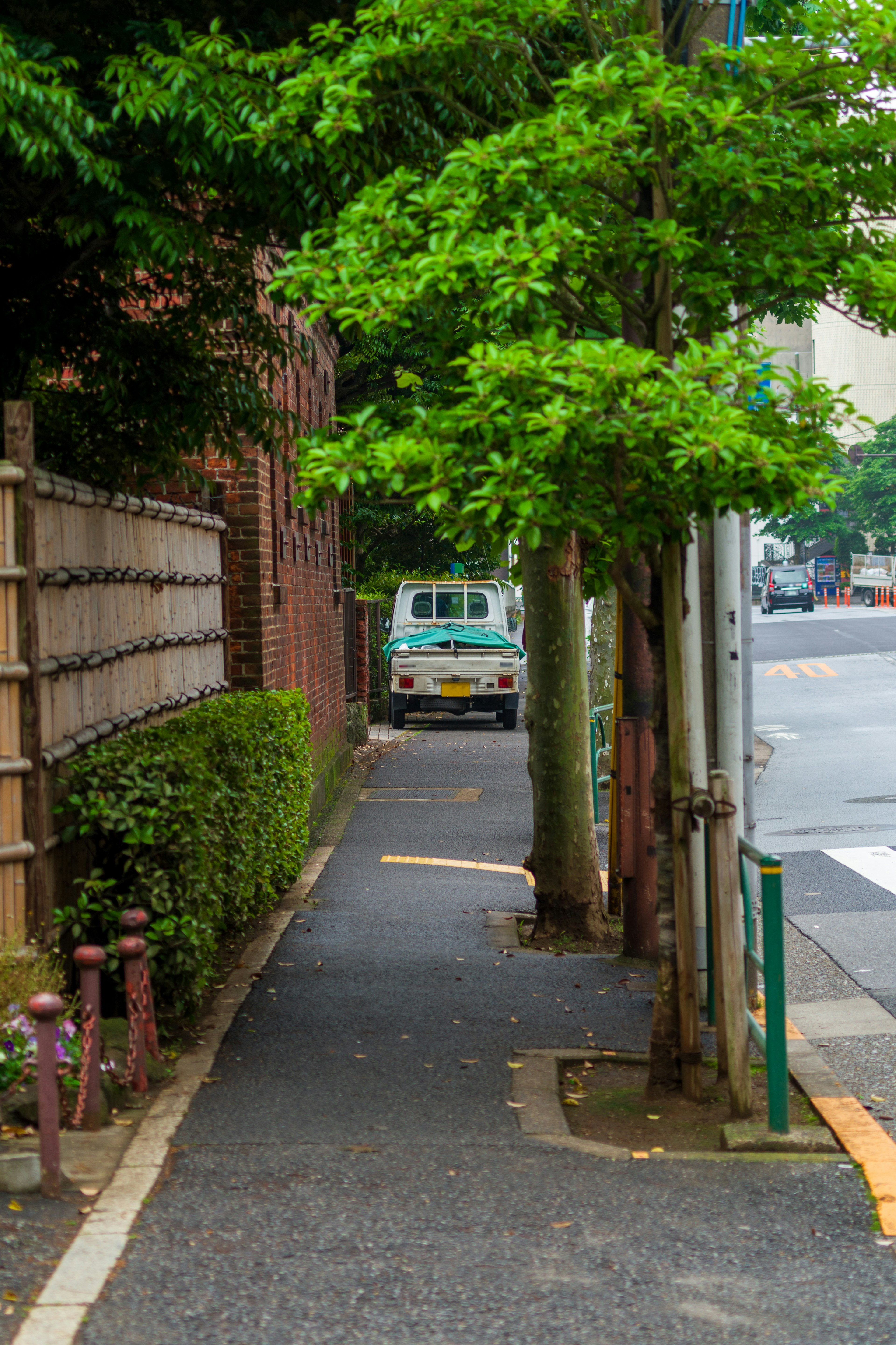 Scène de rue tranquille avec un chemin bordé d'arbres et un vieux véhicule