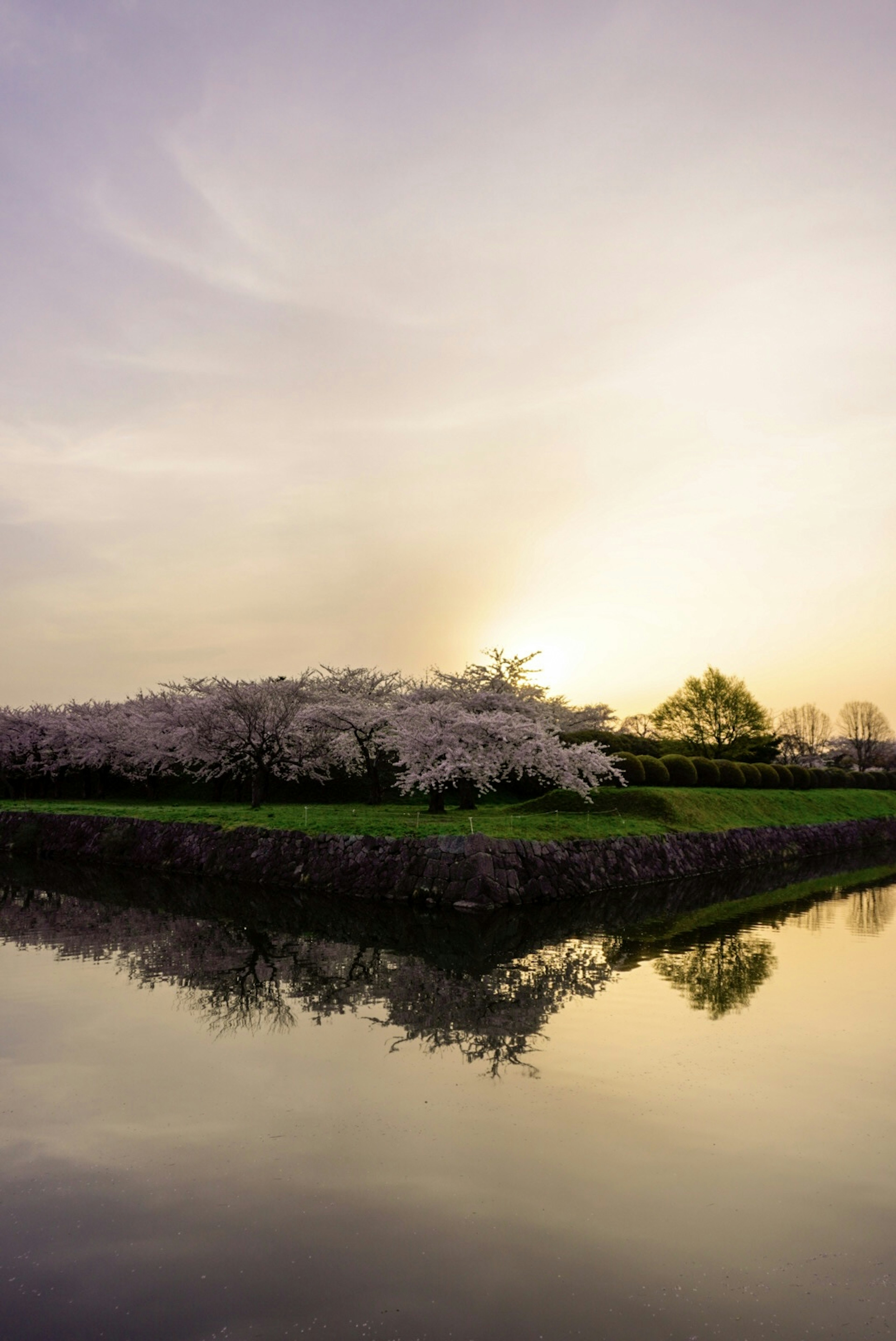 Árboles de cerezo en flor alrededor de un estanque que refleja el atardecer