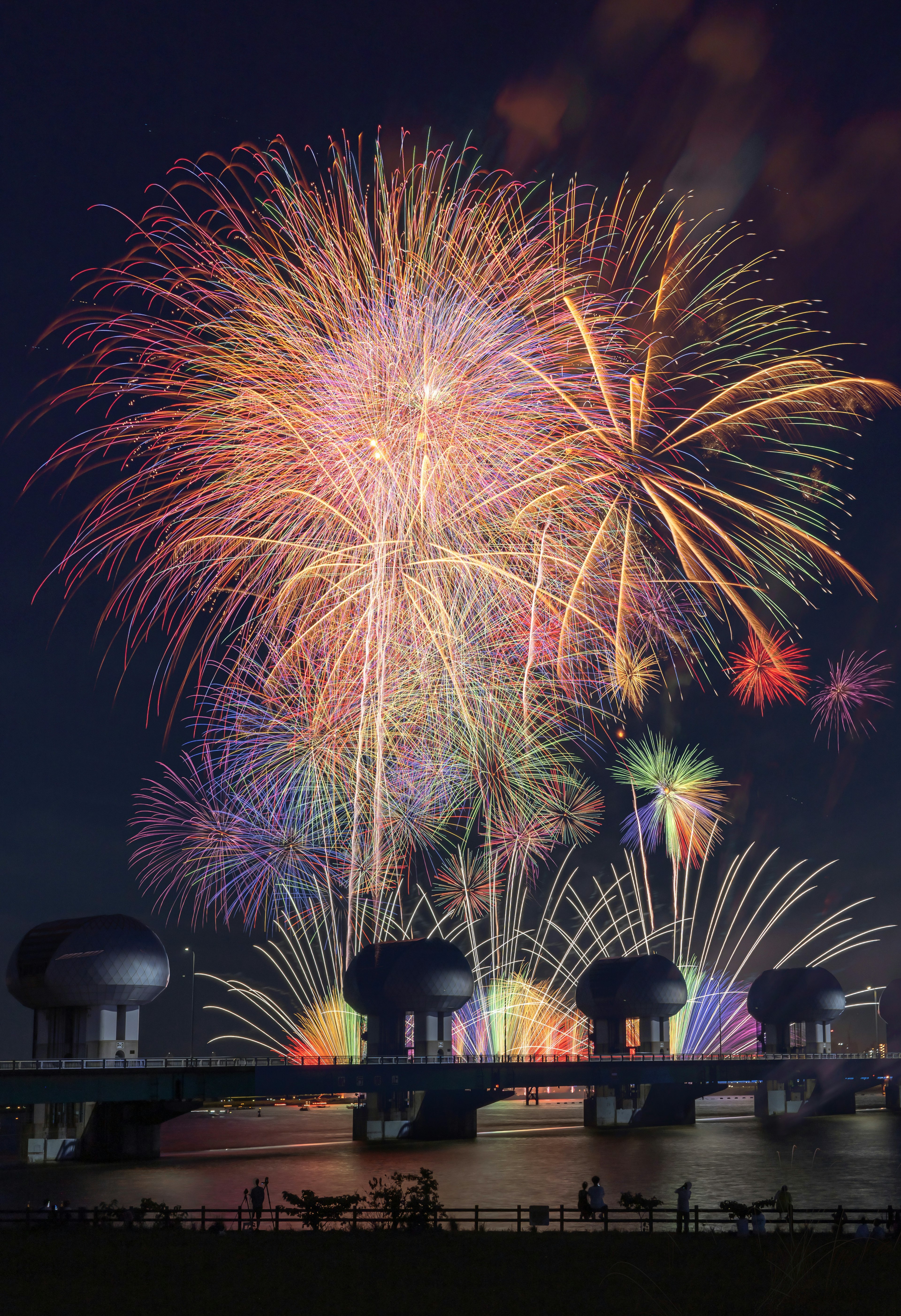 夜空に広がる色とりどりの花火が美しい