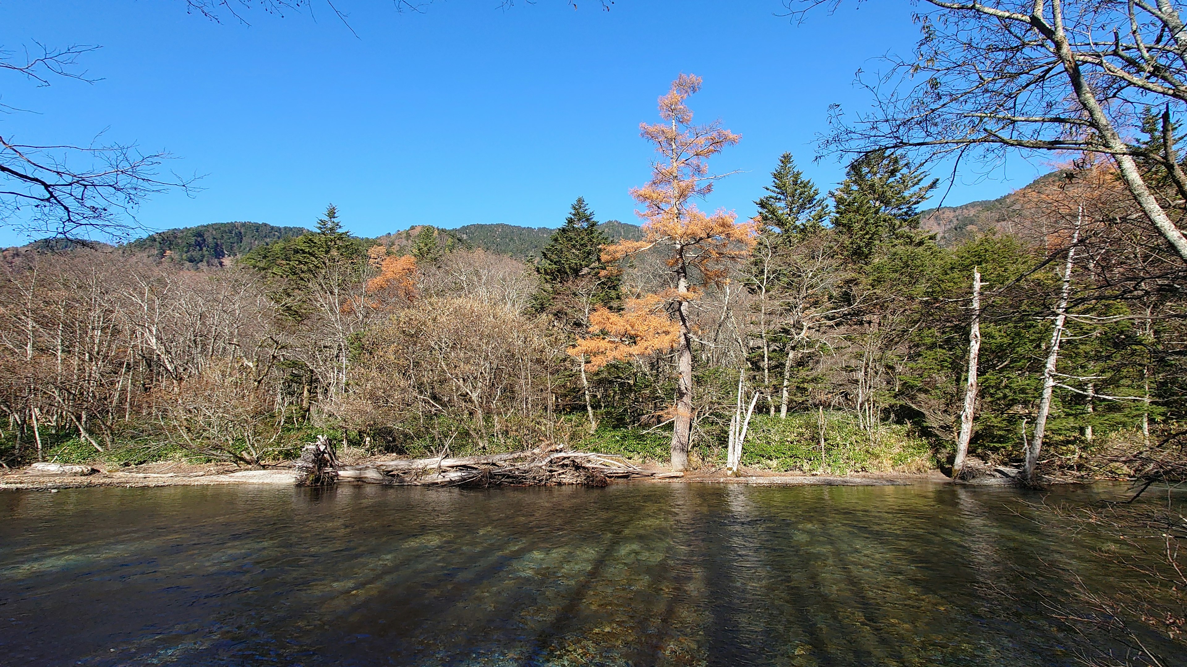 Paisaje de río sereno con cielo azul y árboles