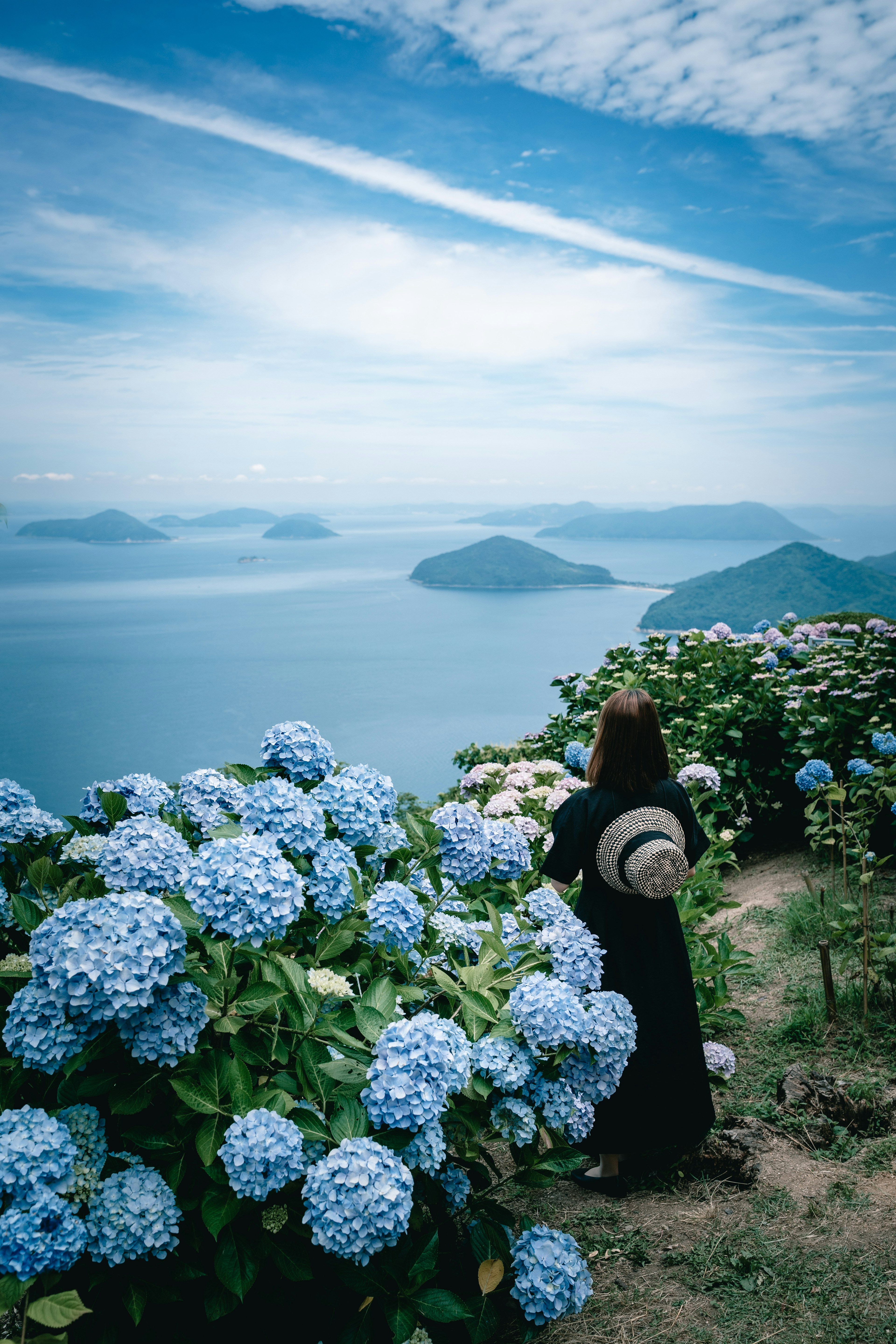 青い紫陽花の花に囲まれた女性が海を見つめる美しい風景