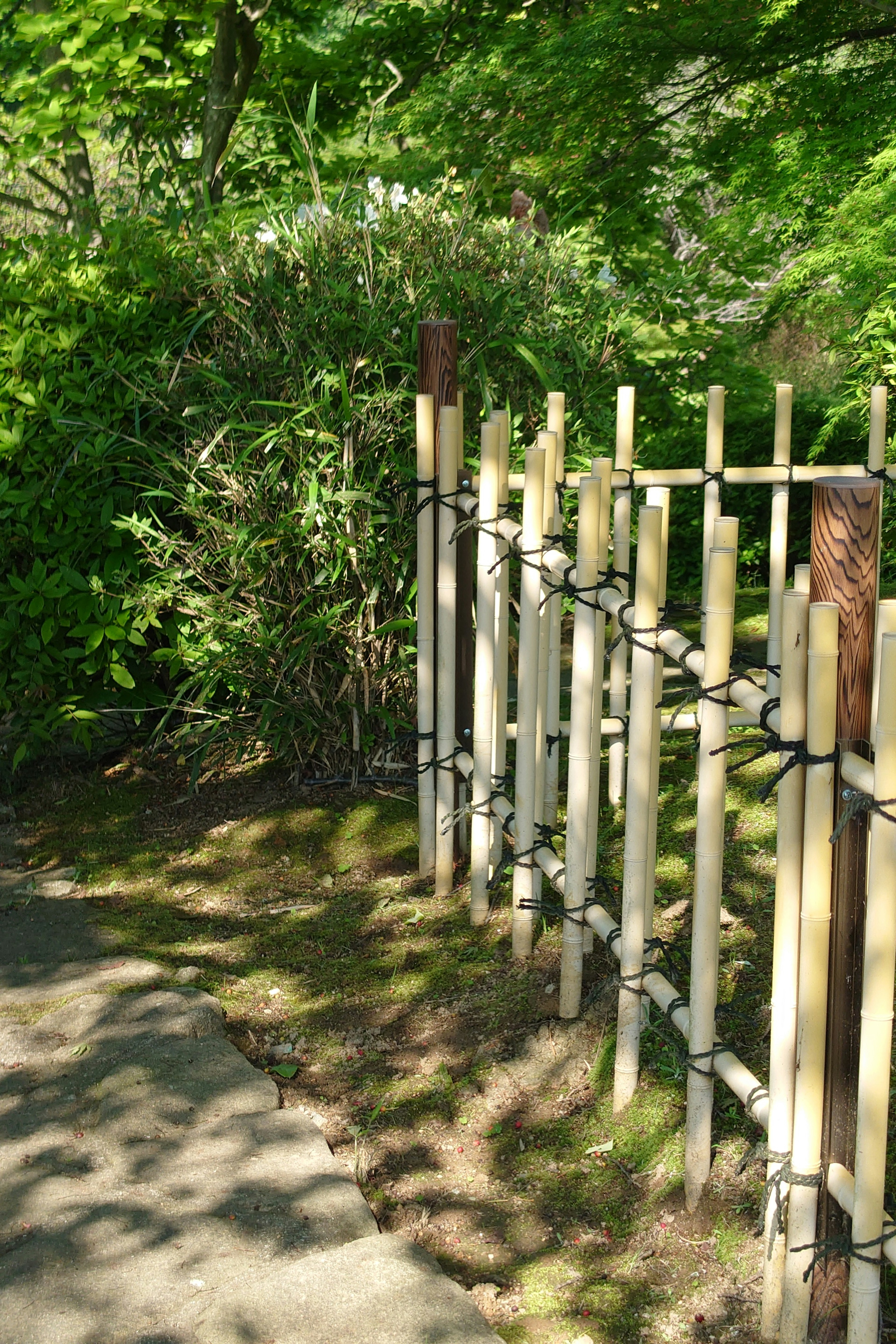 Bamboo fence surrounded by green leaves and a paved walkway