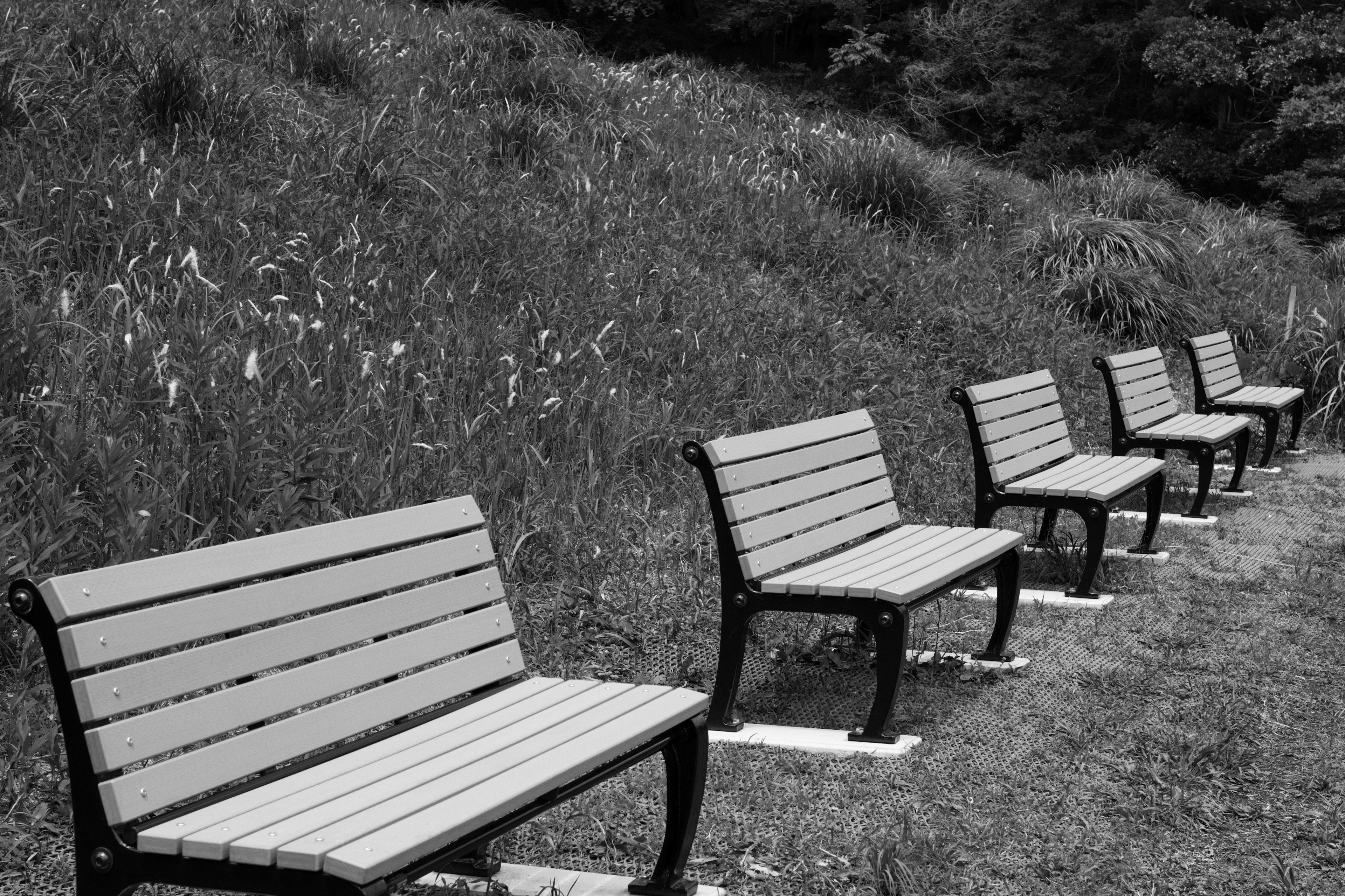 Schwarzweißbild von im Park aufgereihten Bänken