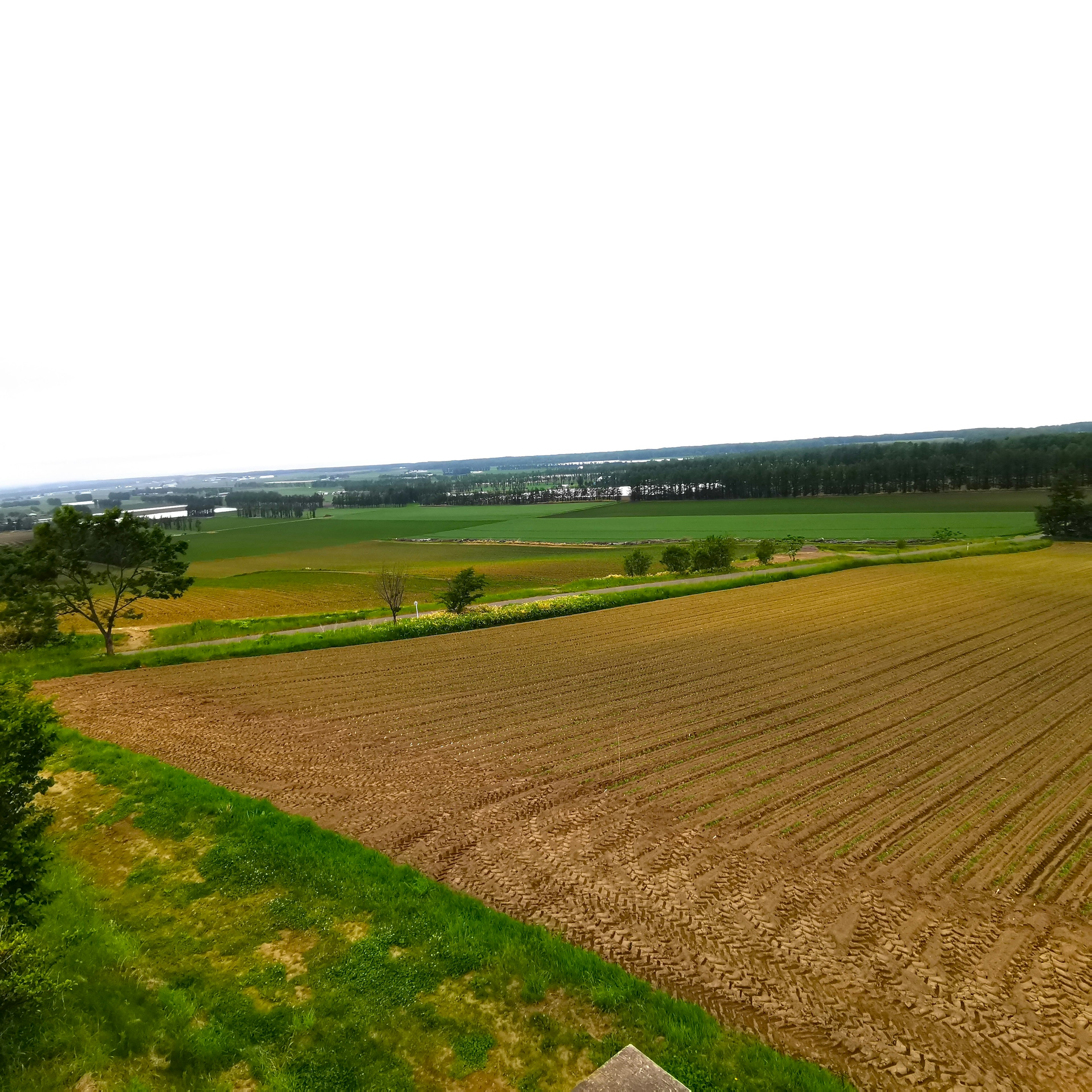 Panoramic view of vast farmland and green landscape