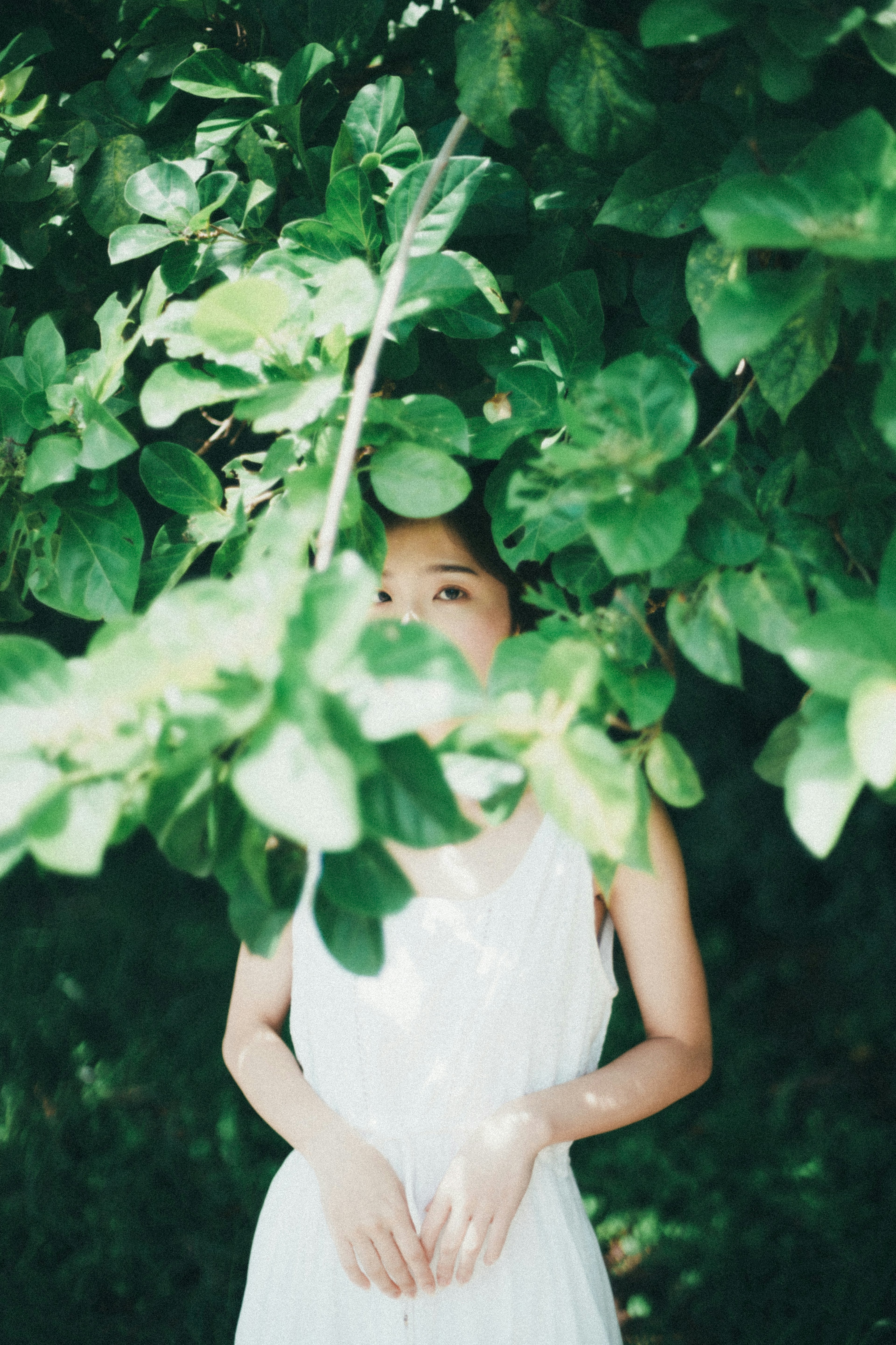 Mujer con vestido blanco rodeada de hojas verdes