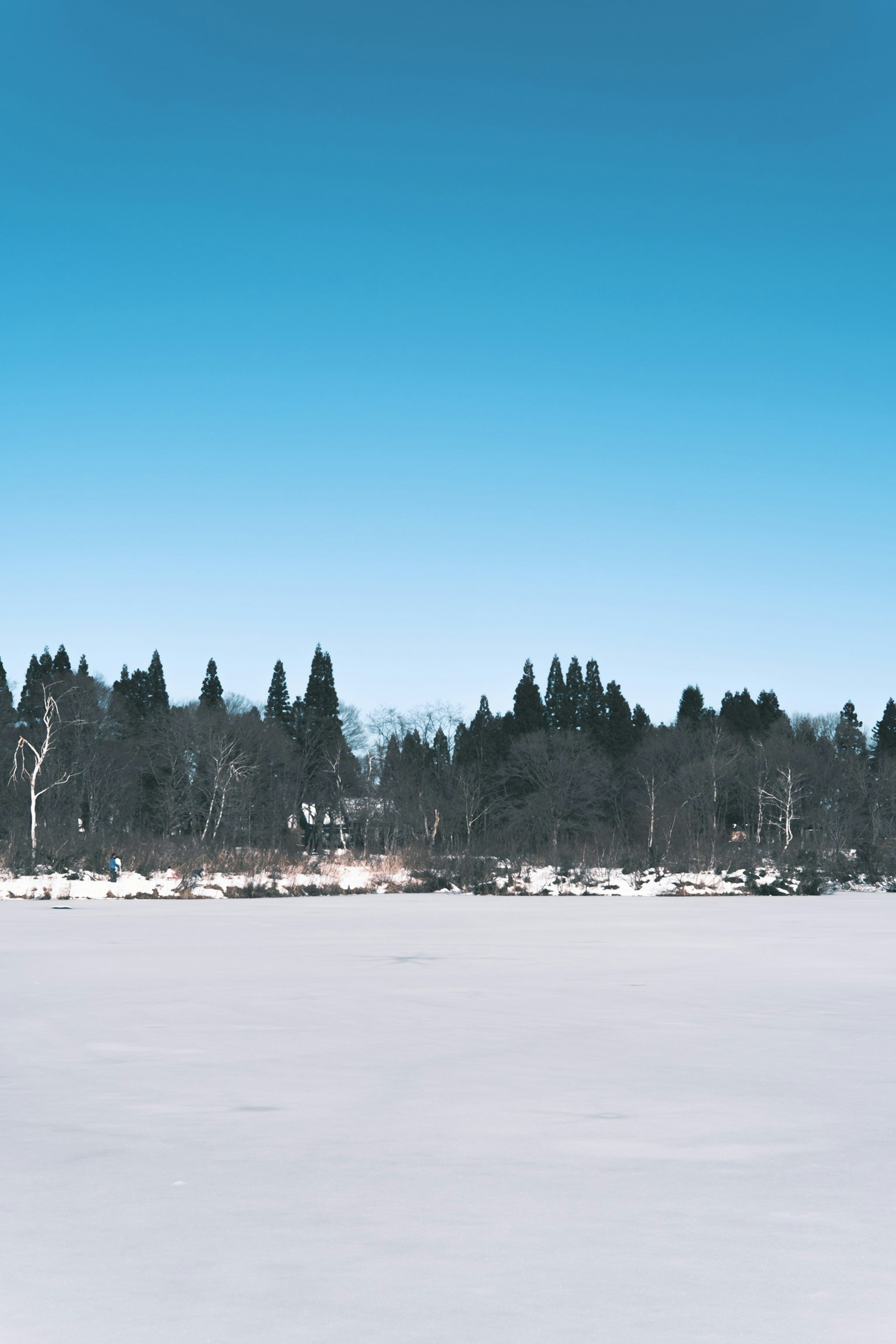 雪に覆われた湖と青空の風景