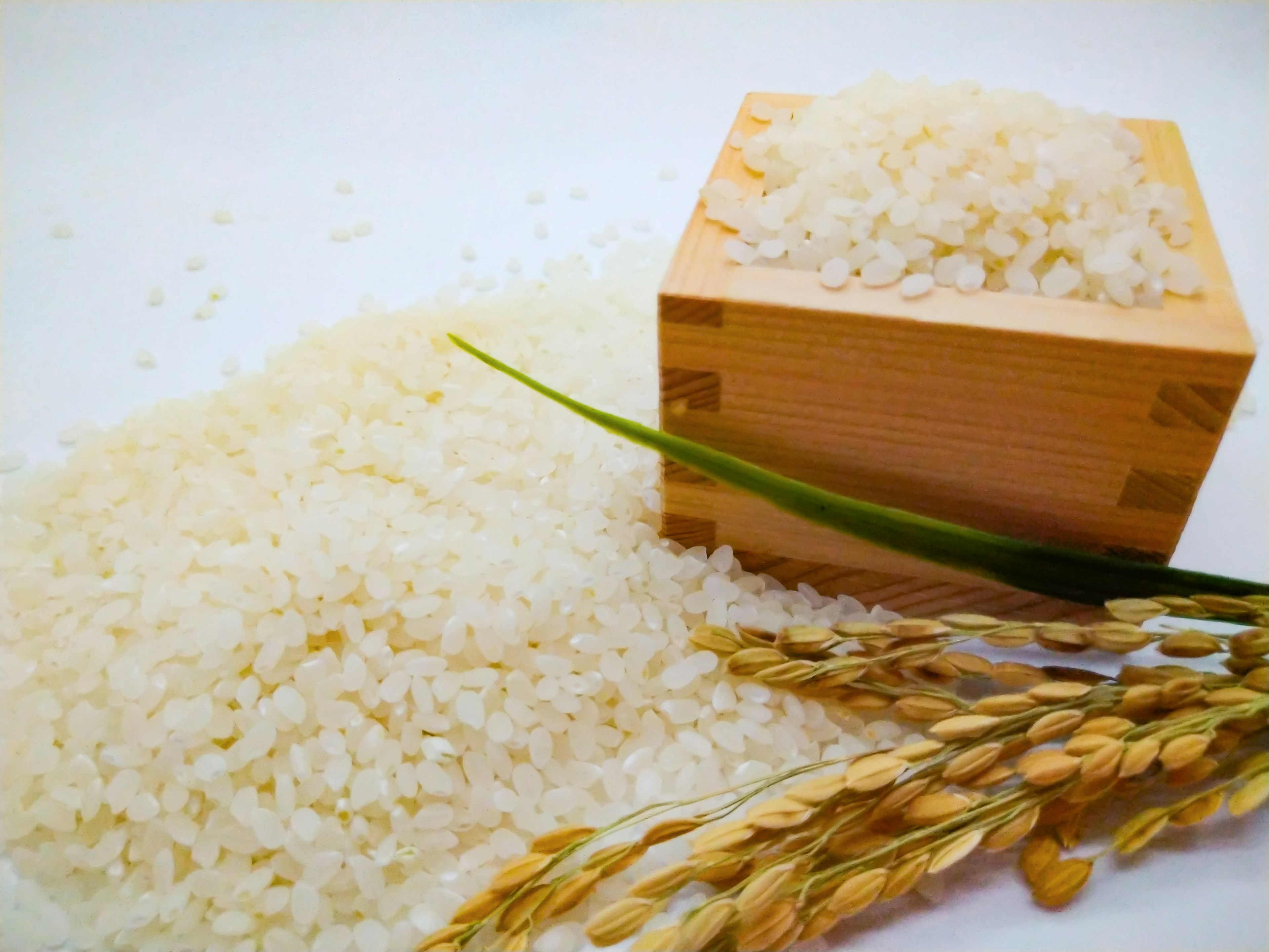 Image présentant du riz blanc et des épis de riz avec un contenant en bois rempli de riz