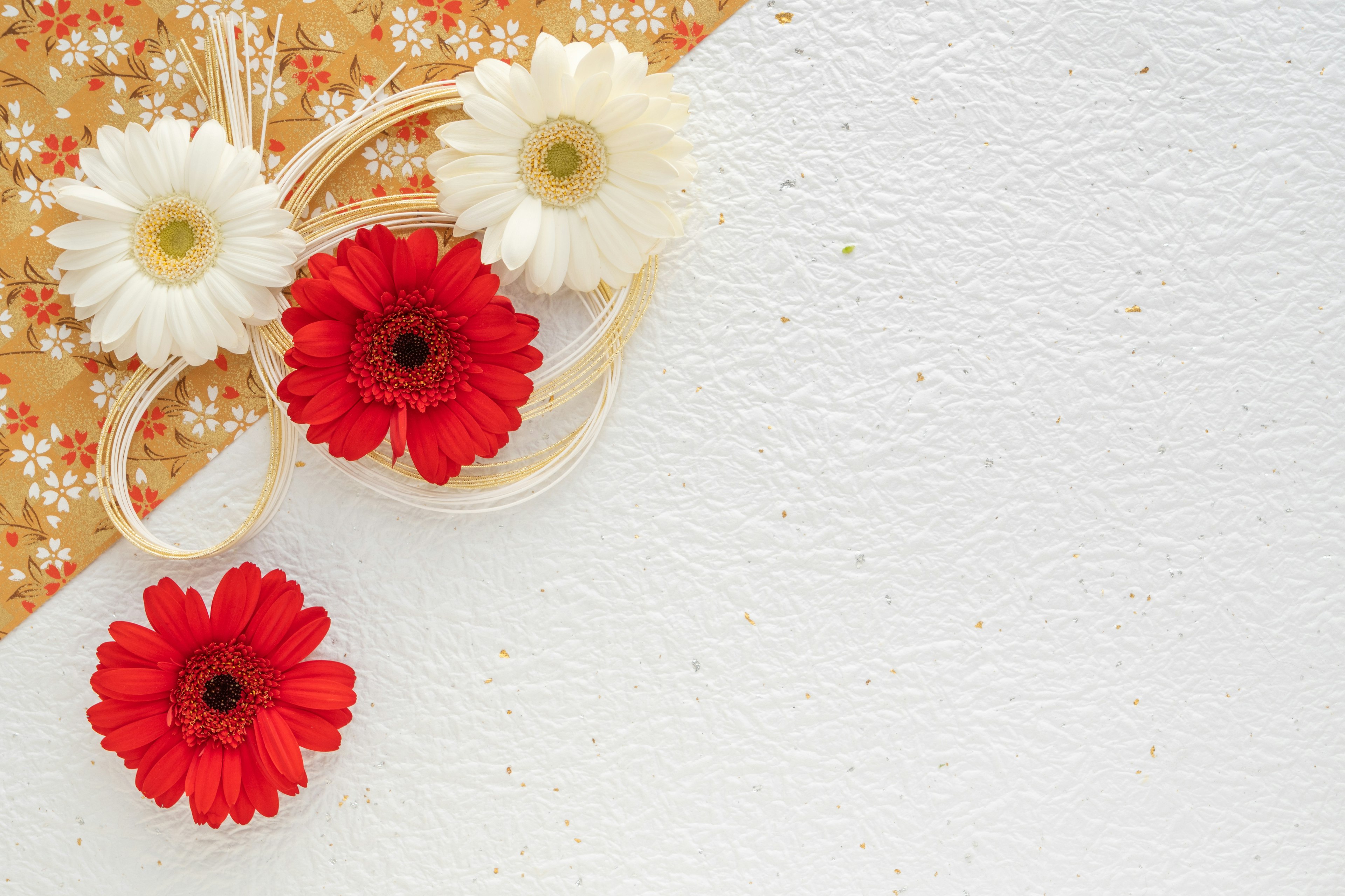 Anordnung mit roten und weißen Gerbera-Blumen