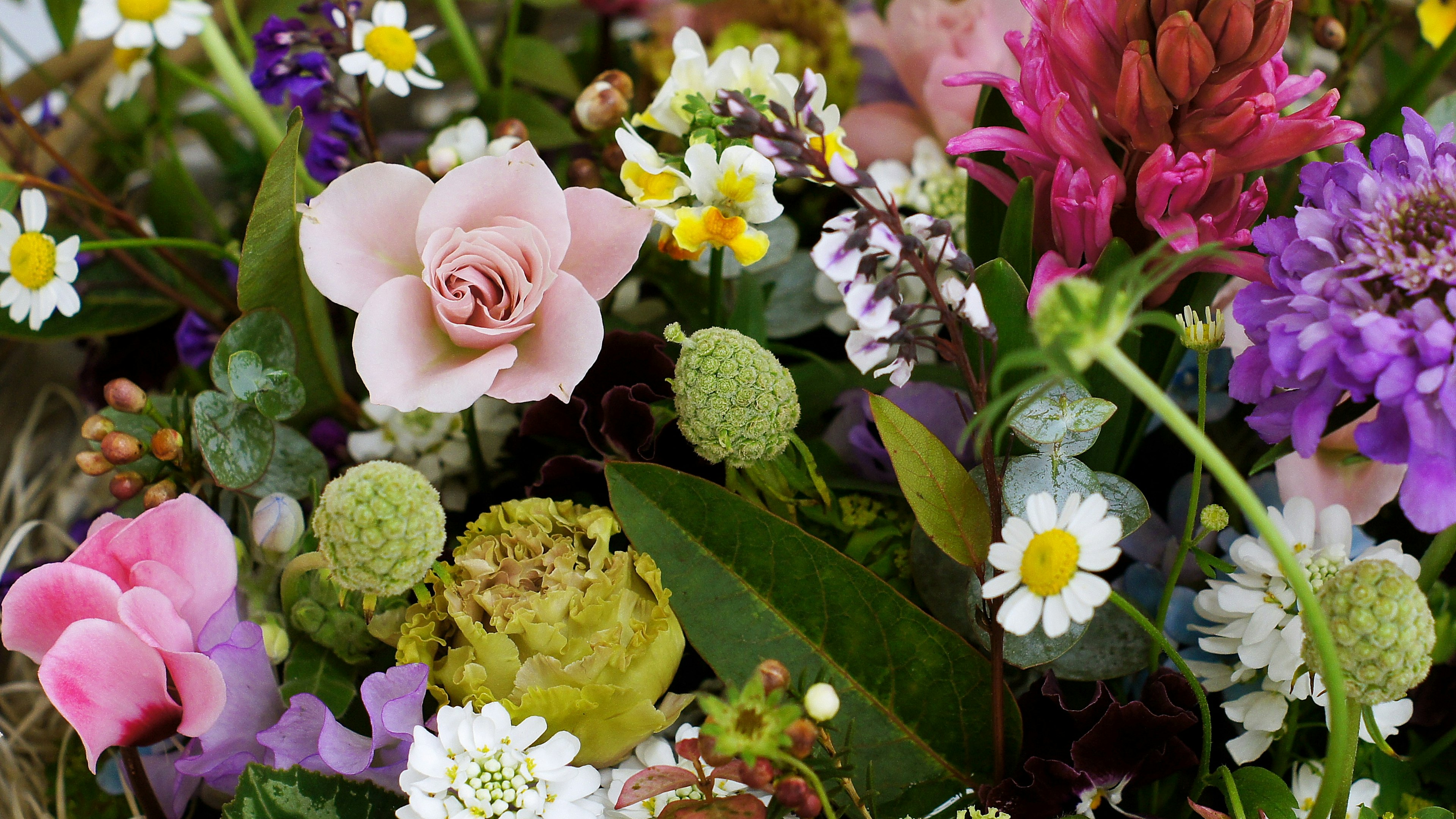 Kedekatan dari bouquet yang cerah dengan berbagai bunga berwarna-warni