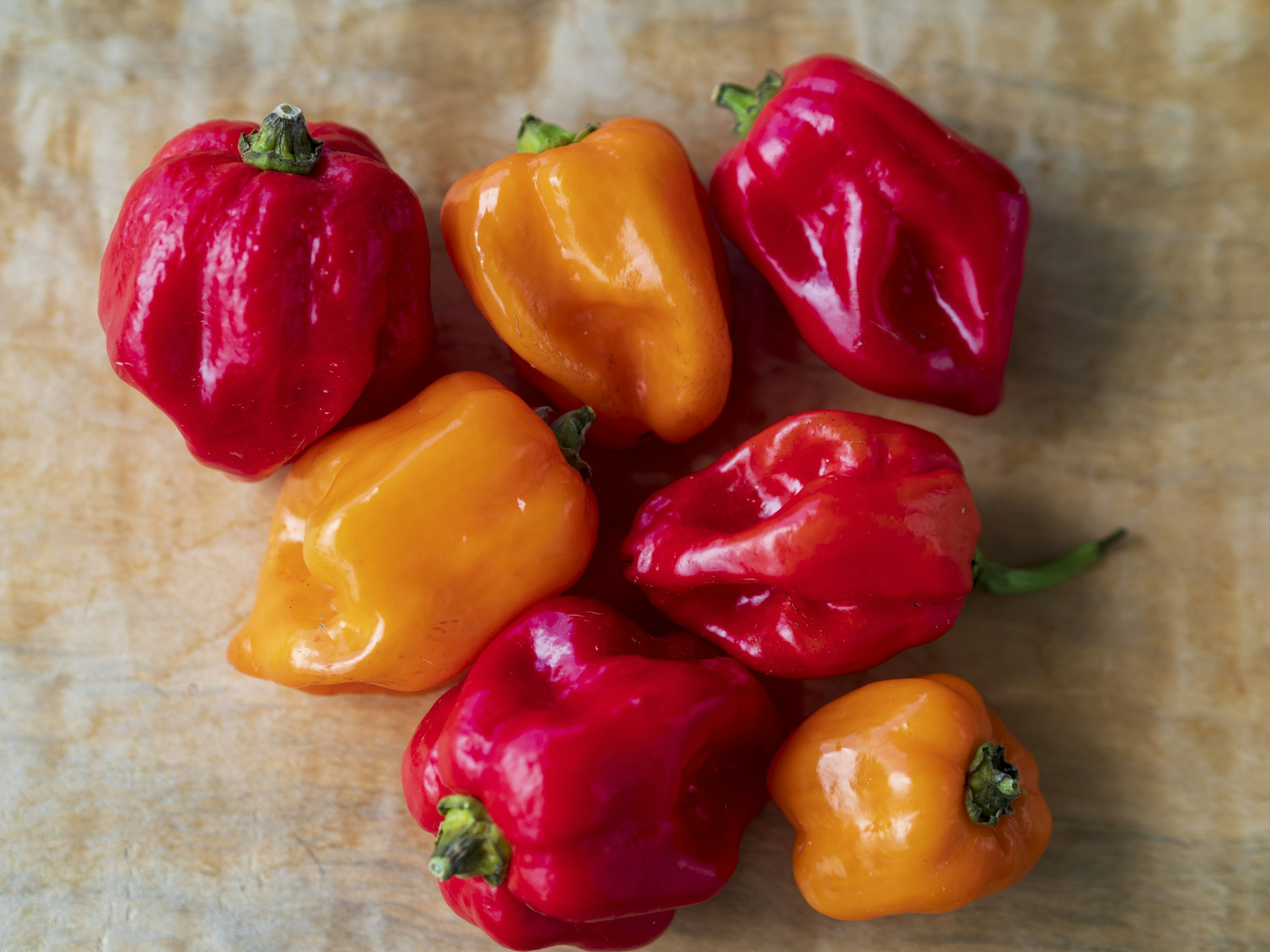 Colorful bell peppers arranged on a wooden table