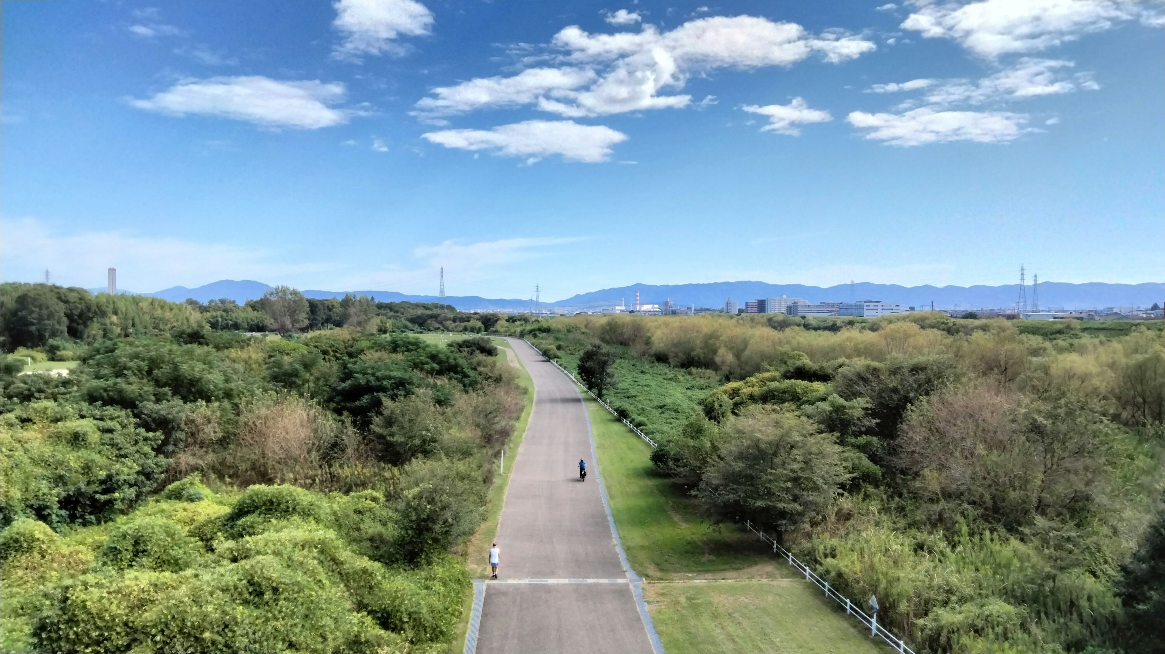 A paved road surrounded by lush greenery under a blue sky