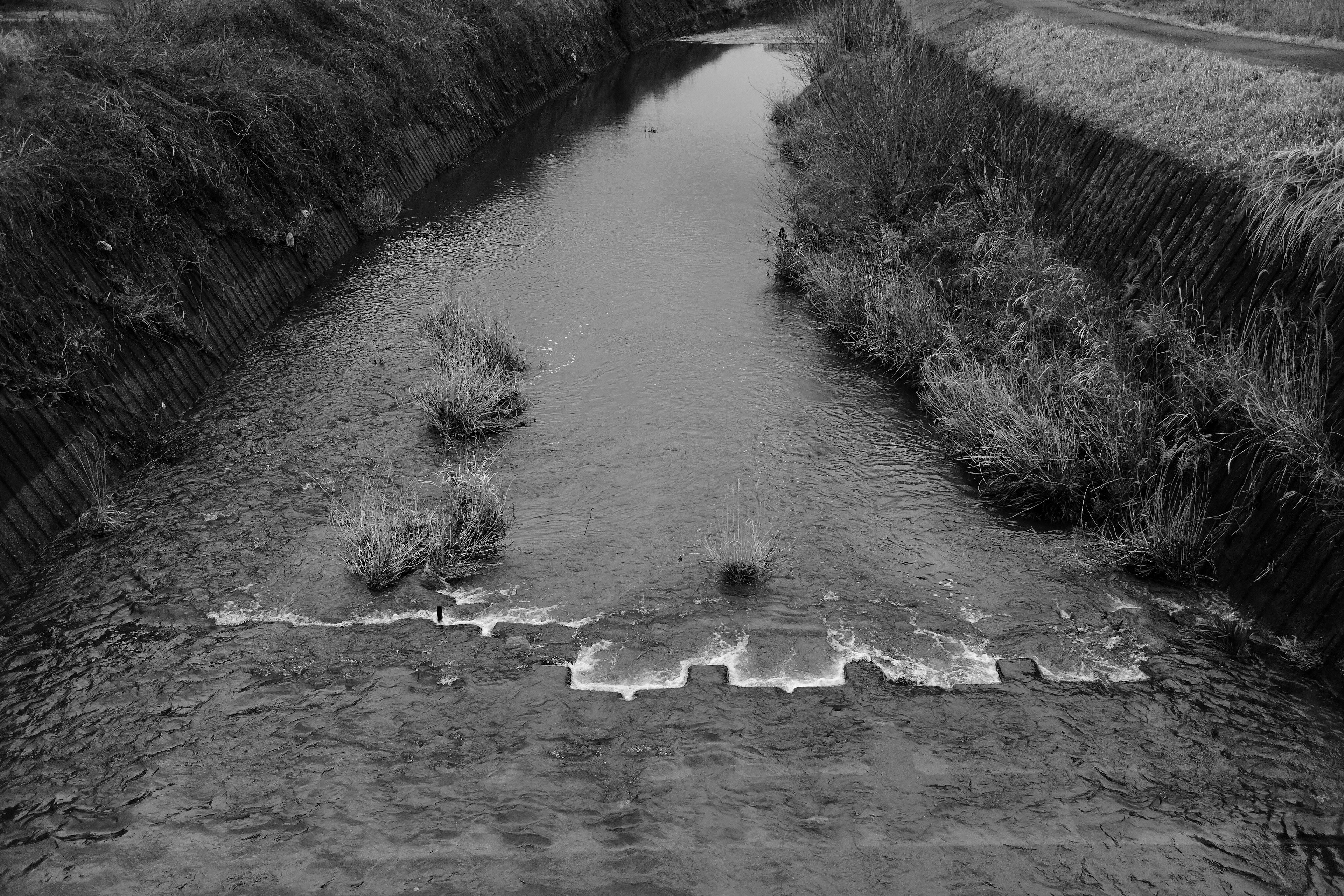 Imagen en blanco y negro de un canal de agua con agua fluyendo y hierba