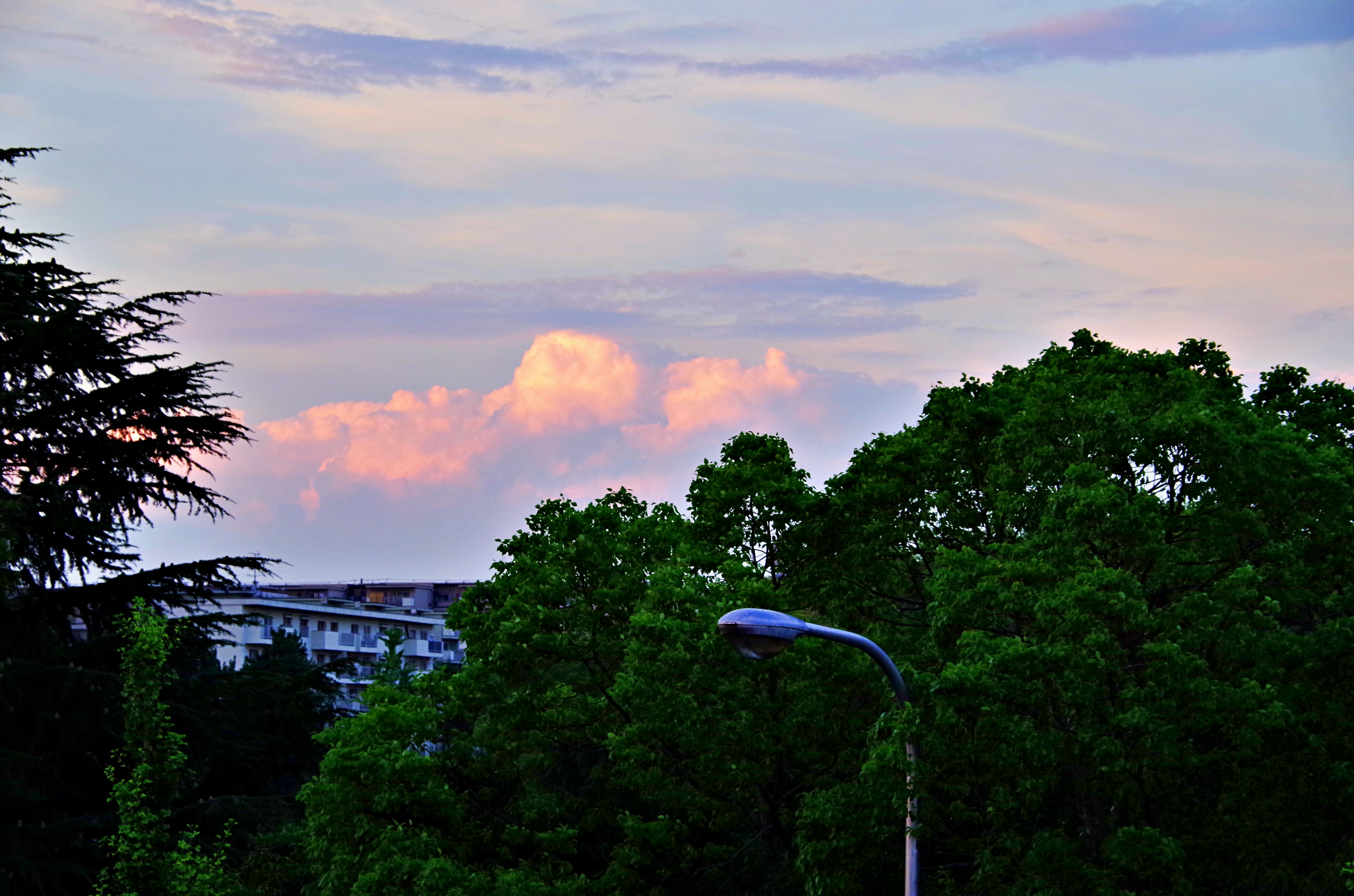 Soft pink clouds in a blue sky above lush green trees