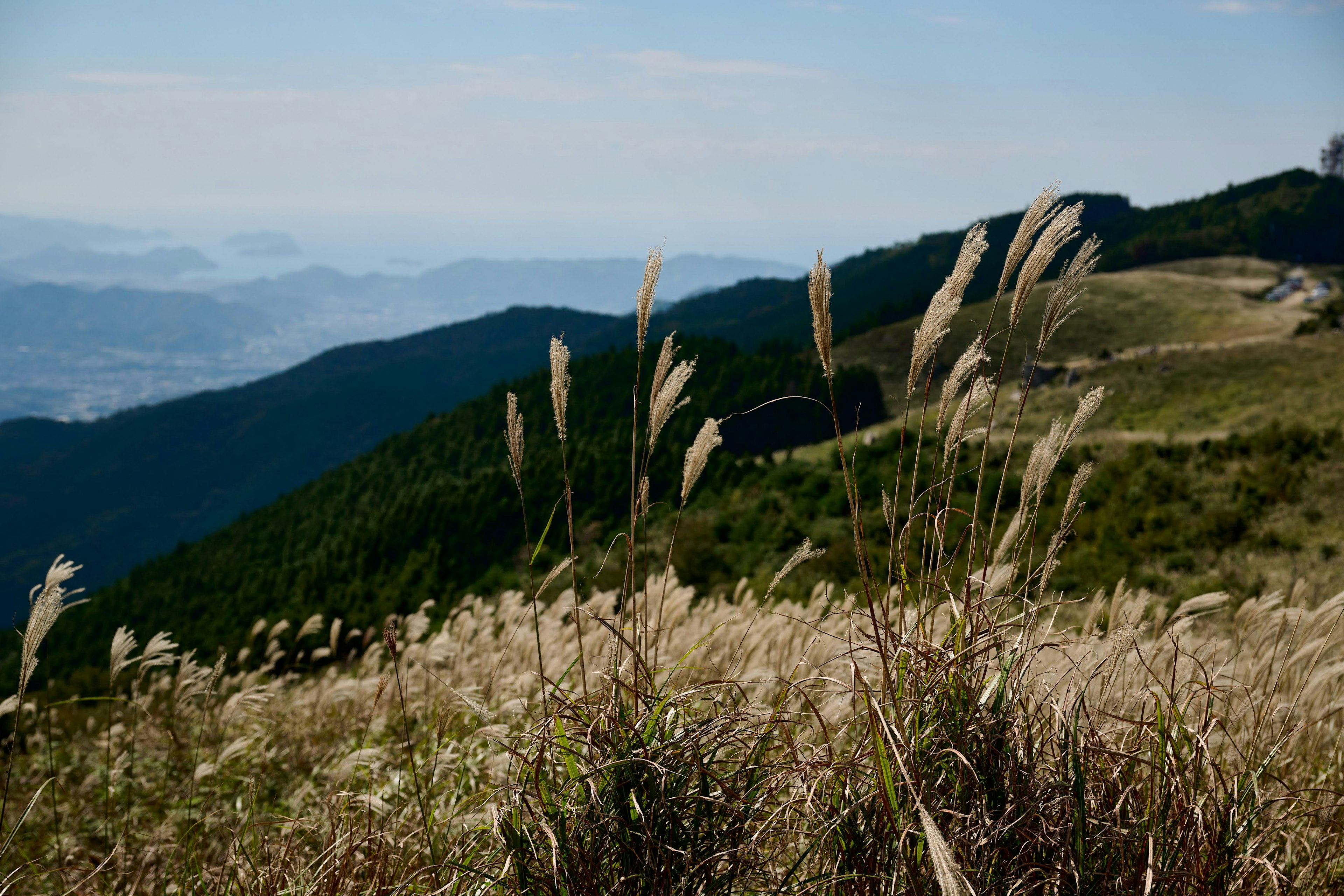 Paysage de montagne avec de l'herbe ondulante et des collines lointaines