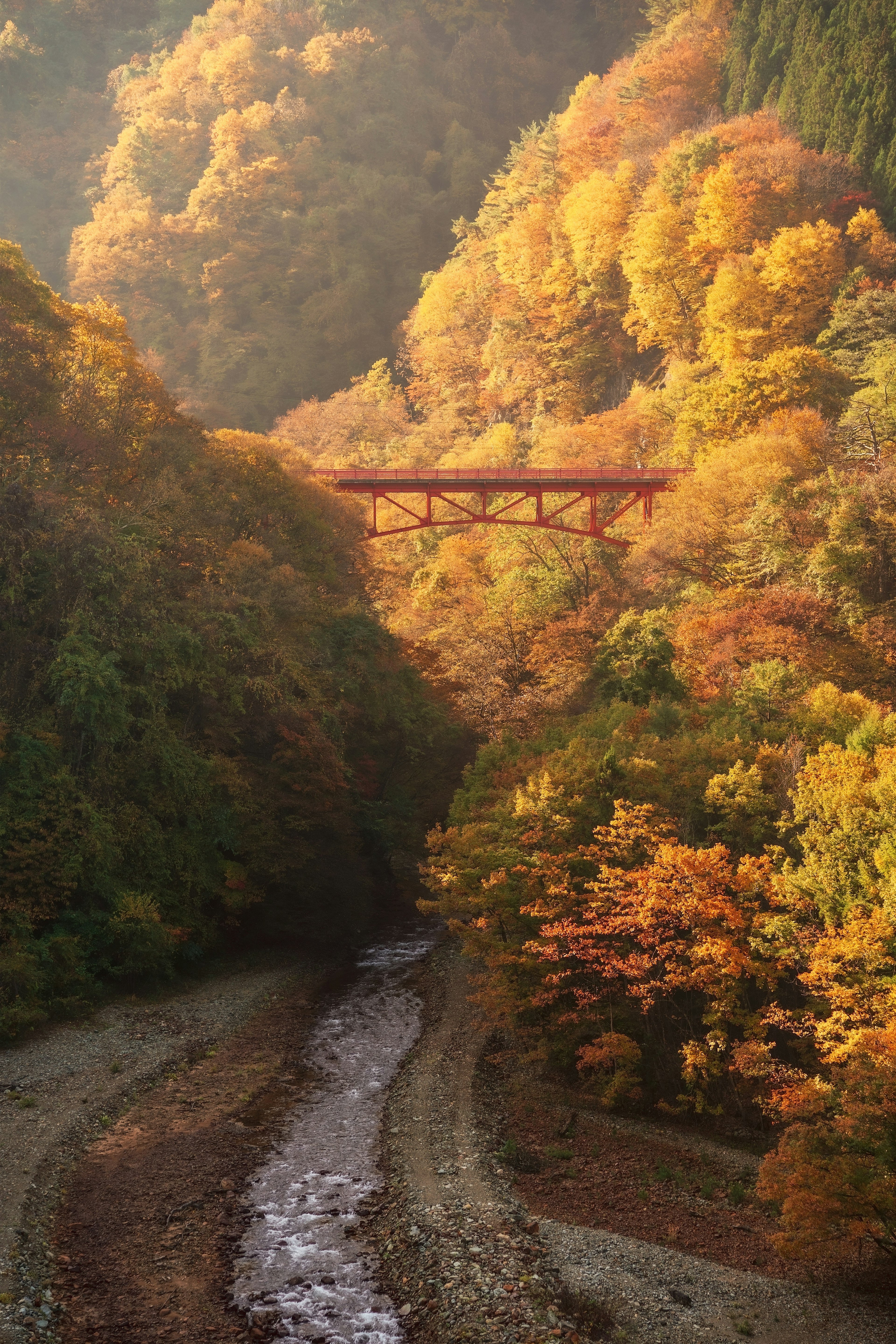 Scenic view of a river surrounded by vibrant autumn foliage and a bridge