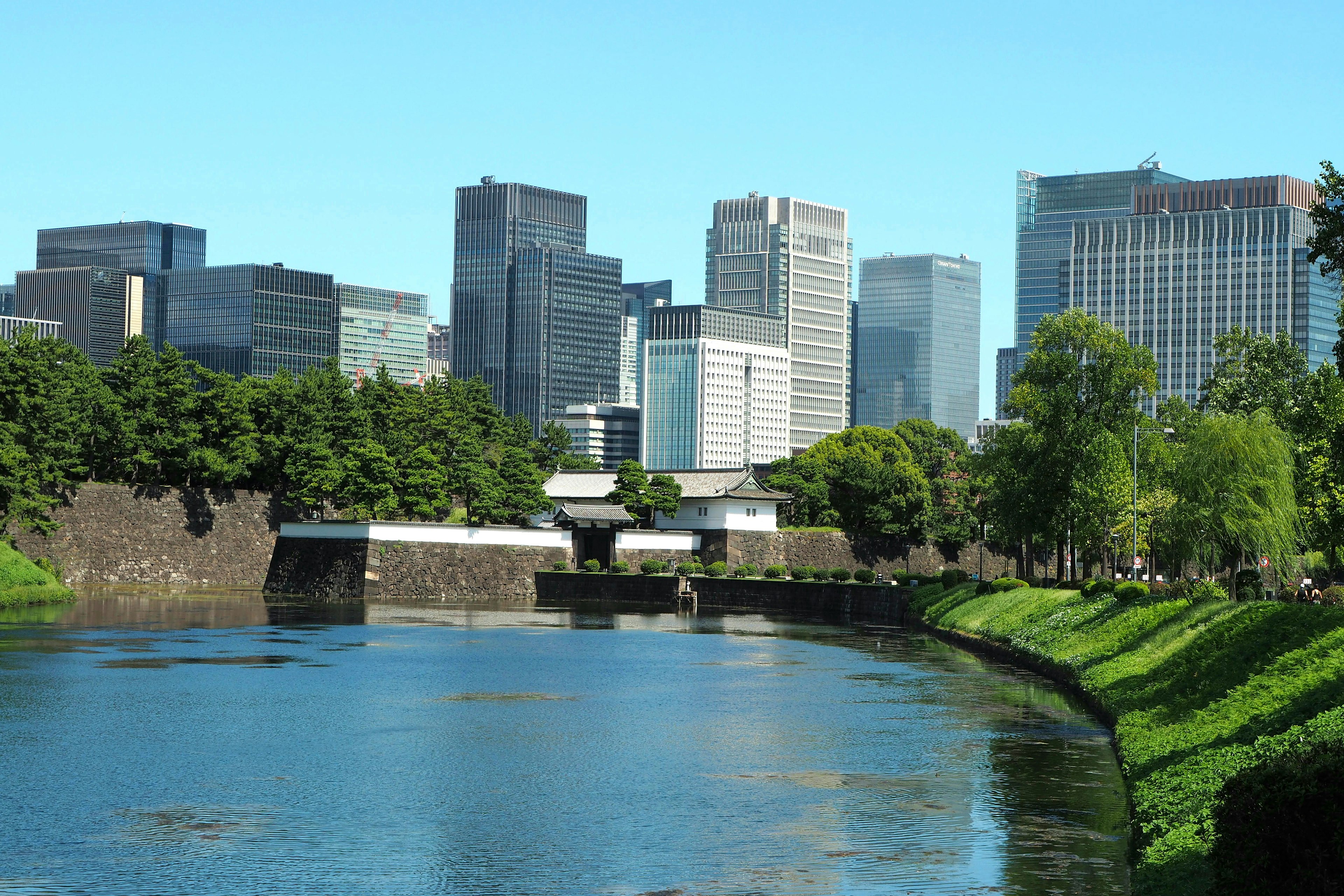 Skyline di una città moderna con vegetazione lungo il fiume