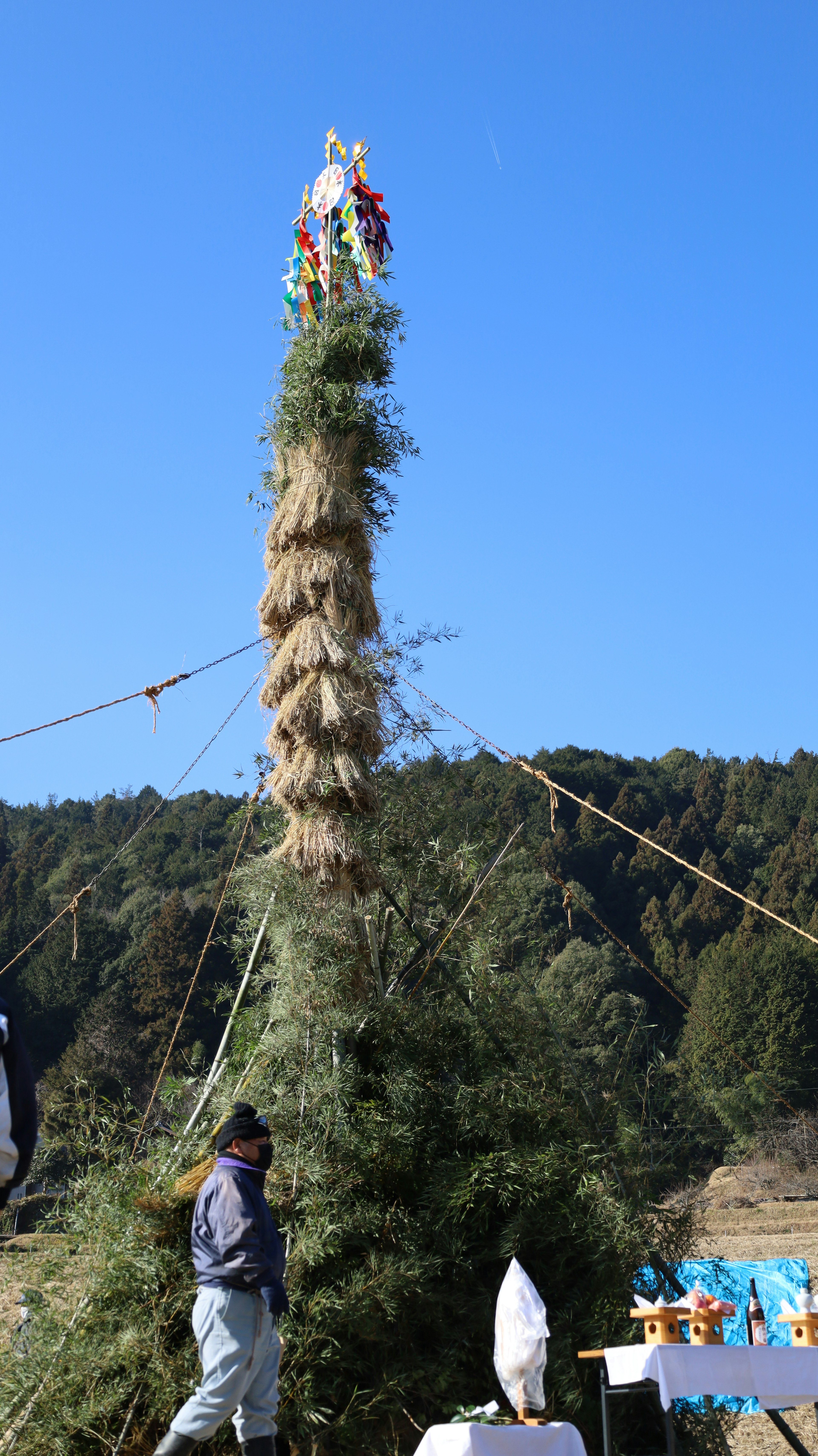 Traditional festival scene with a tall decorated tree