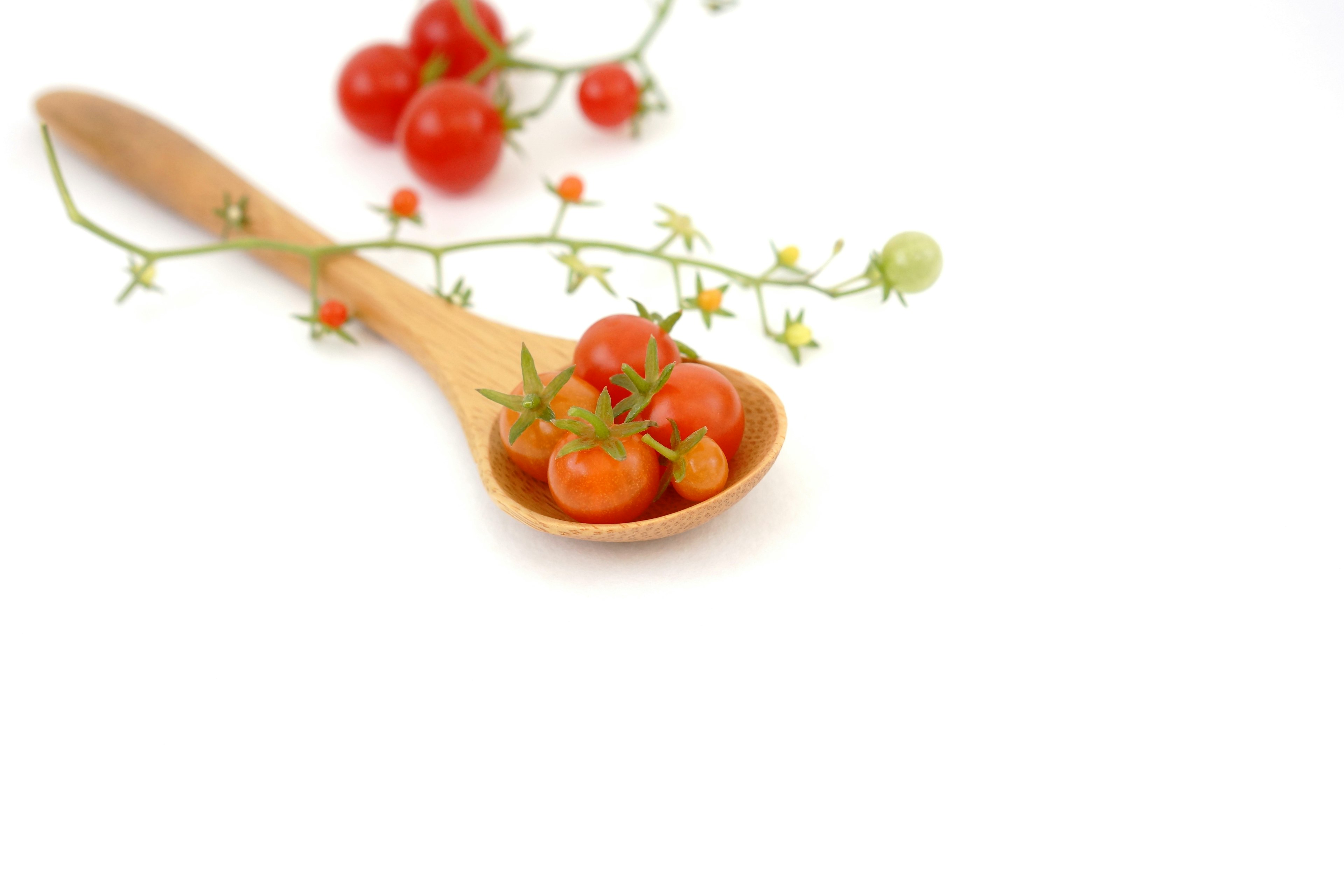 Fresh cherry tomatoes on a wooden spoon with vine