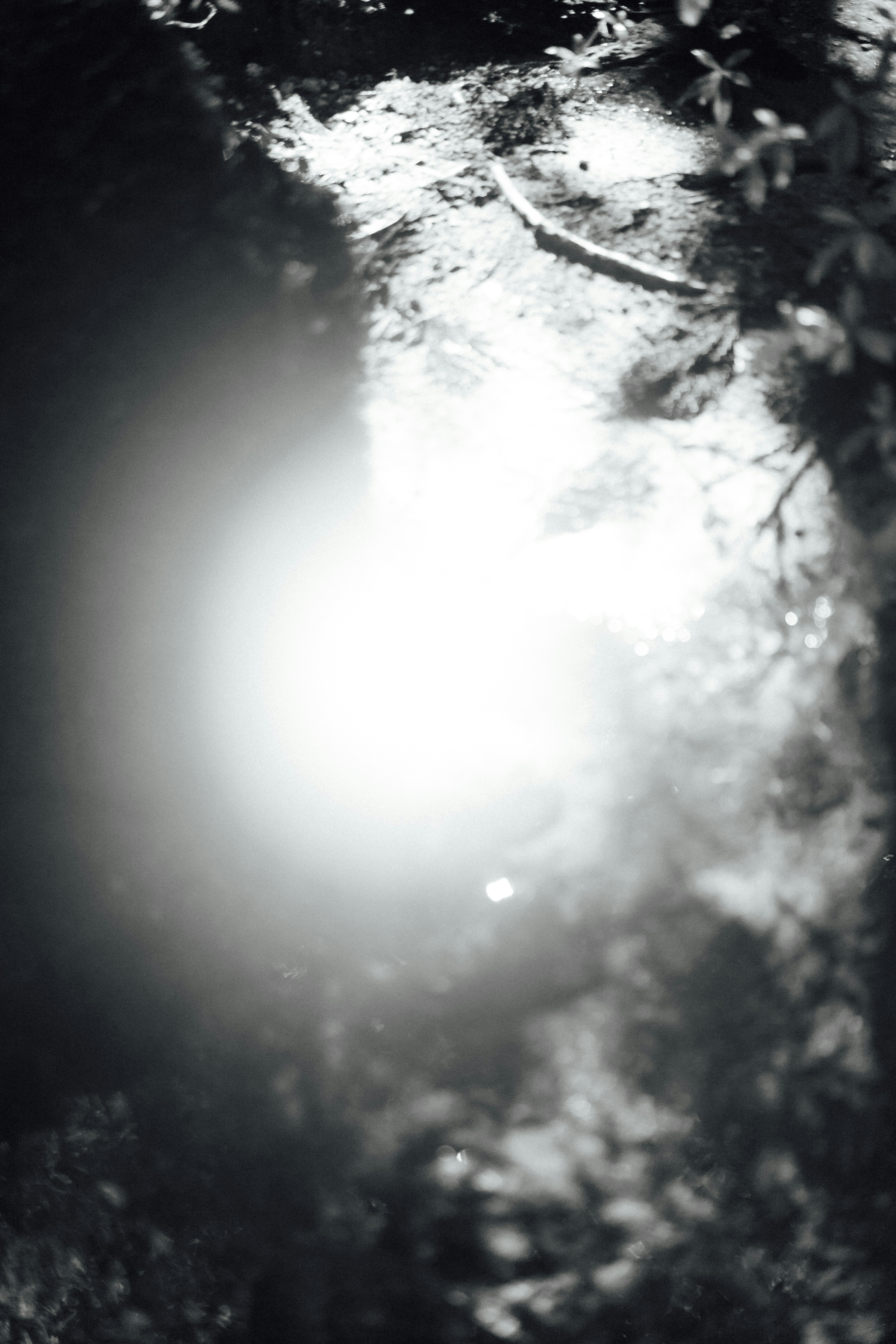 photo-vSX5nVNiPINlRyEELvqb-image