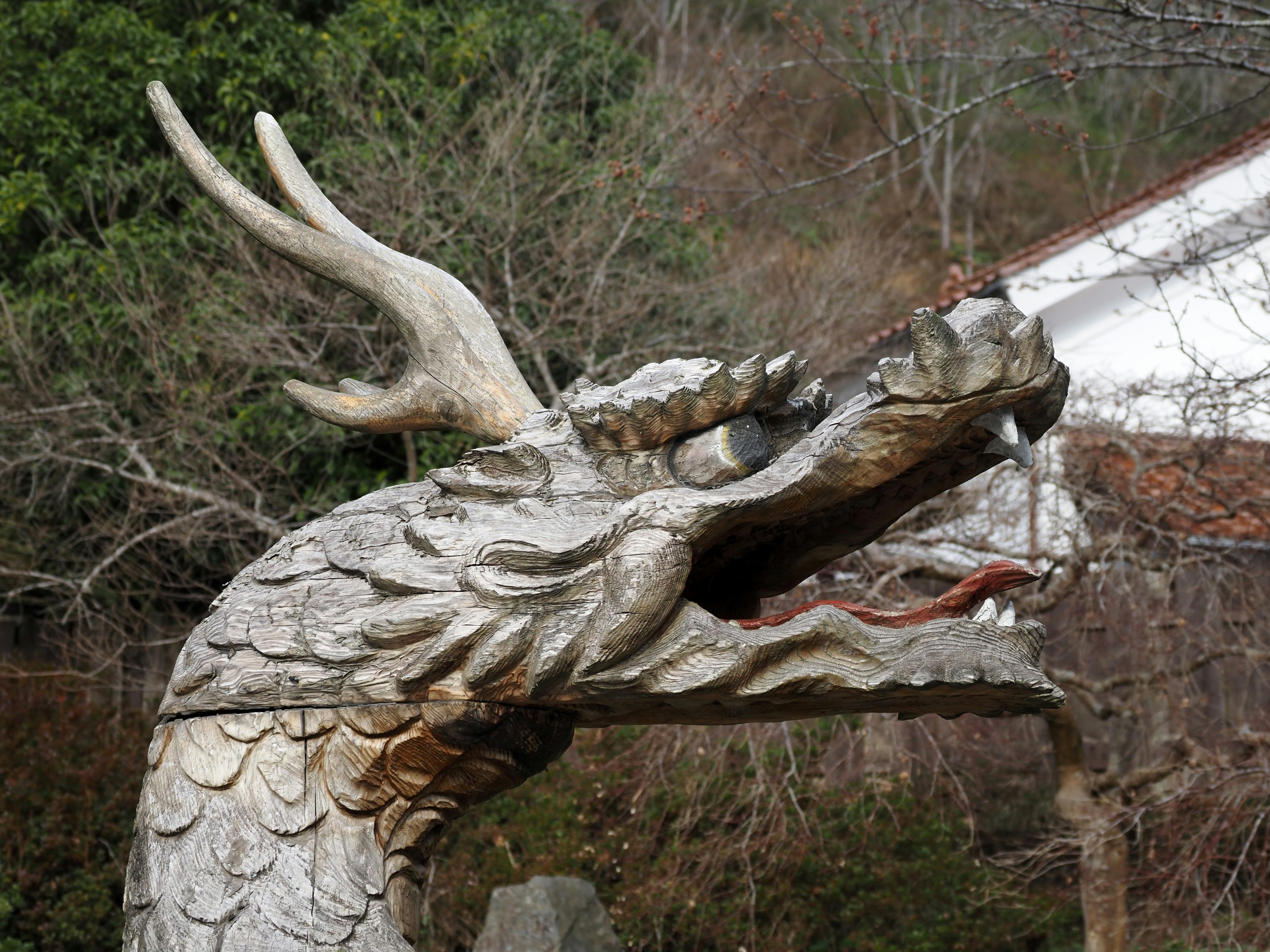 Aufwändige Holzdrache-Skulptur mit detaillierten Schuppen und auffälligen Hörnern