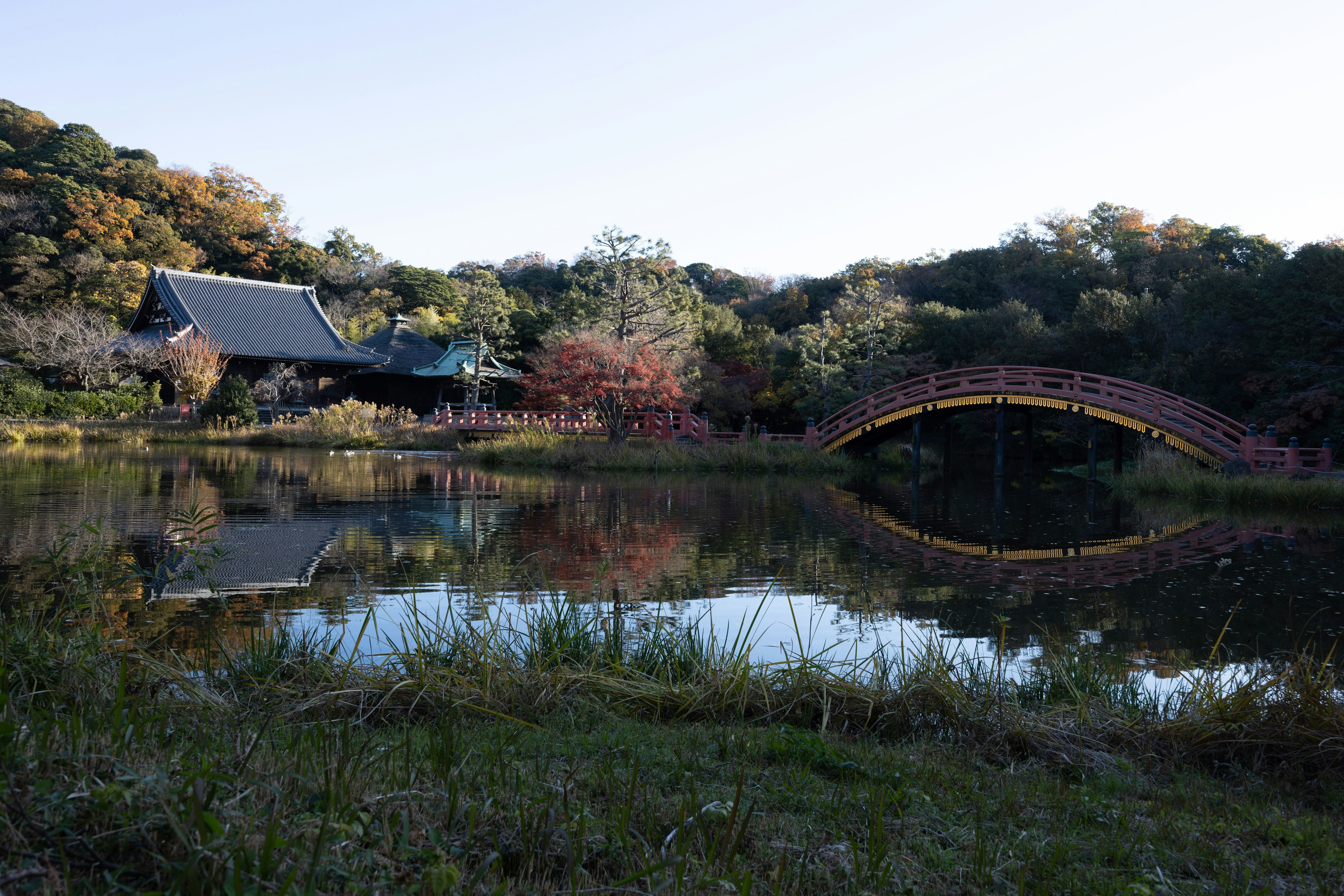 Paysage de jardin japonais avec un étang et un pont rouge