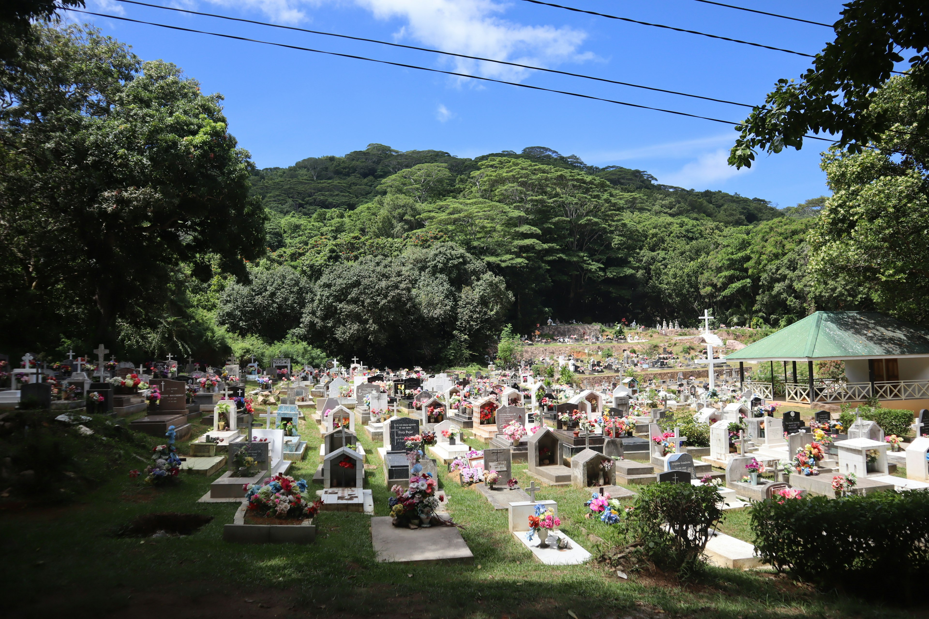 Un cimitero sereno circondato da colline verdi con lapidi e fiori