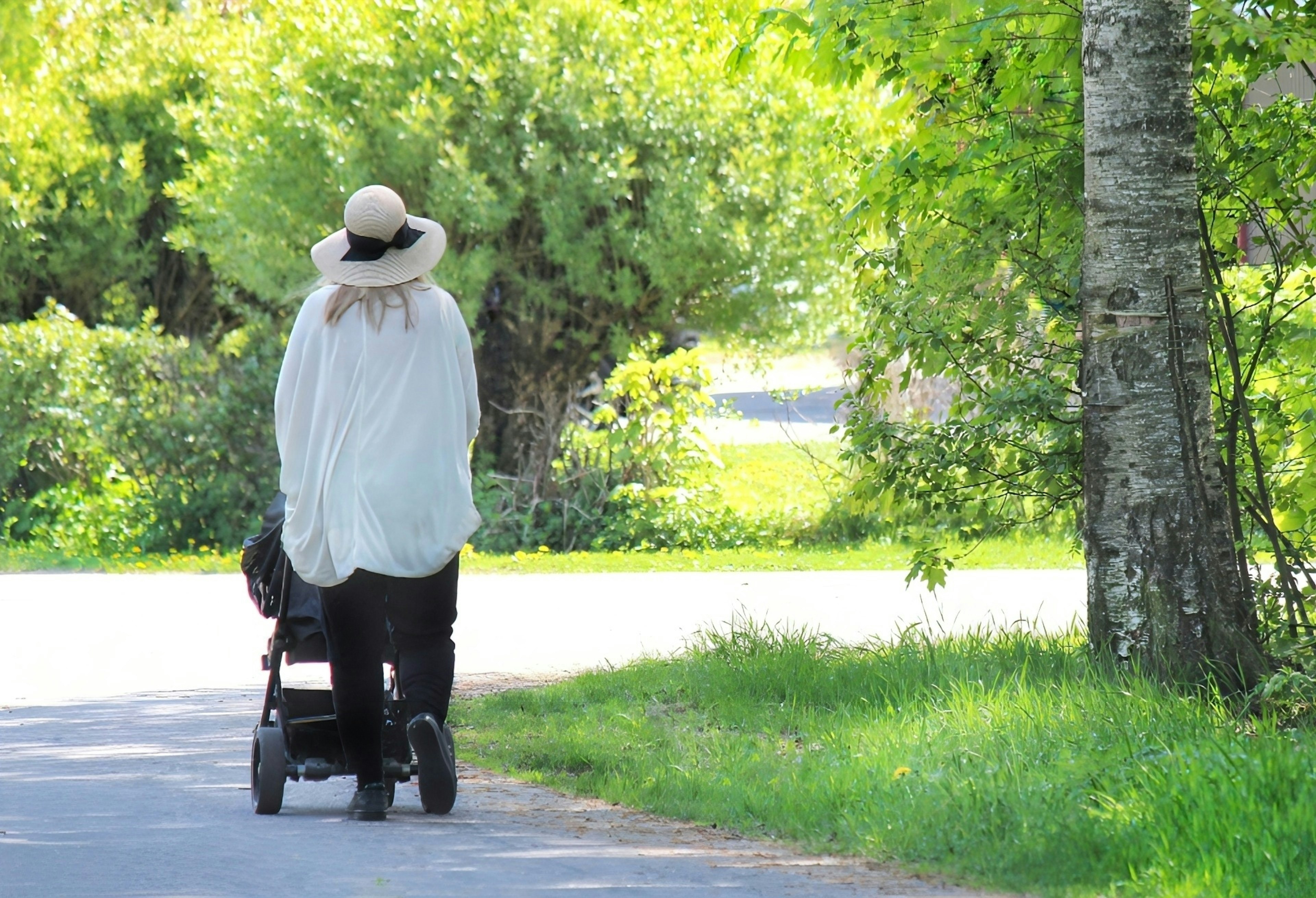 A person wearing a hat walks along a path surrounded by green trees pushing a stroller