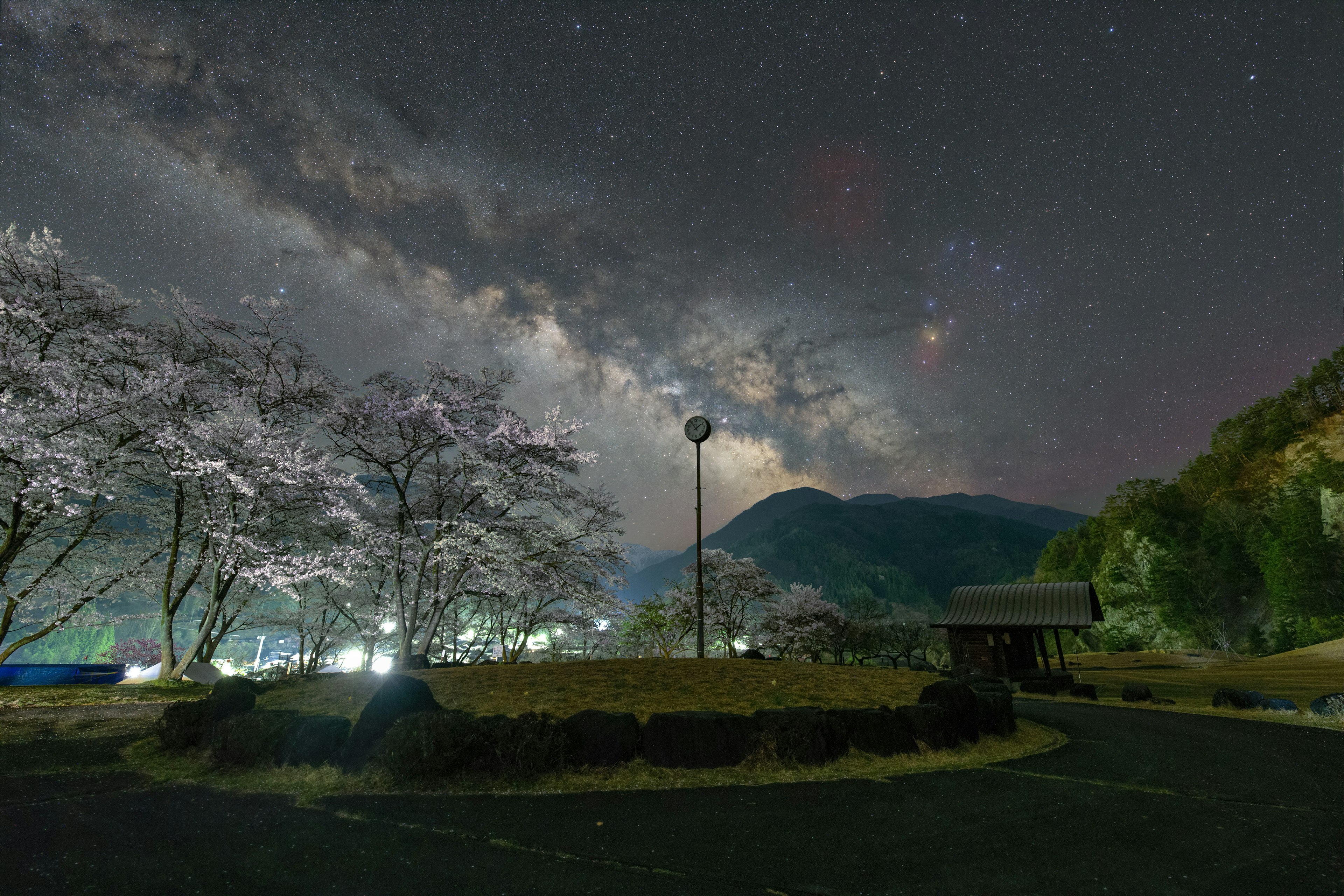 夜空に広がる星々と桜の木々が美しい風景