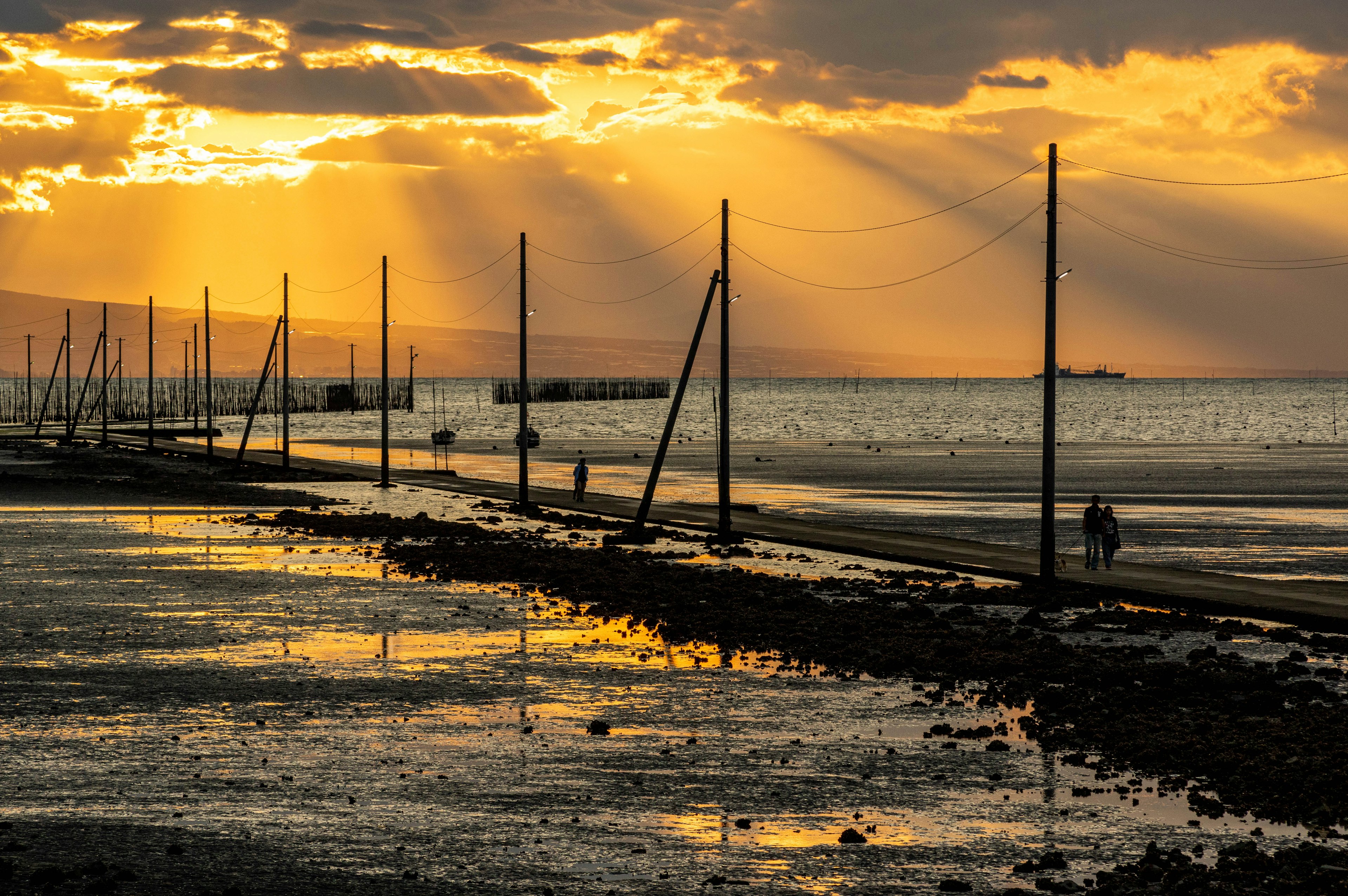 Paysage côtier au coucher du soleil avec des poteaux projetant de longues ombres