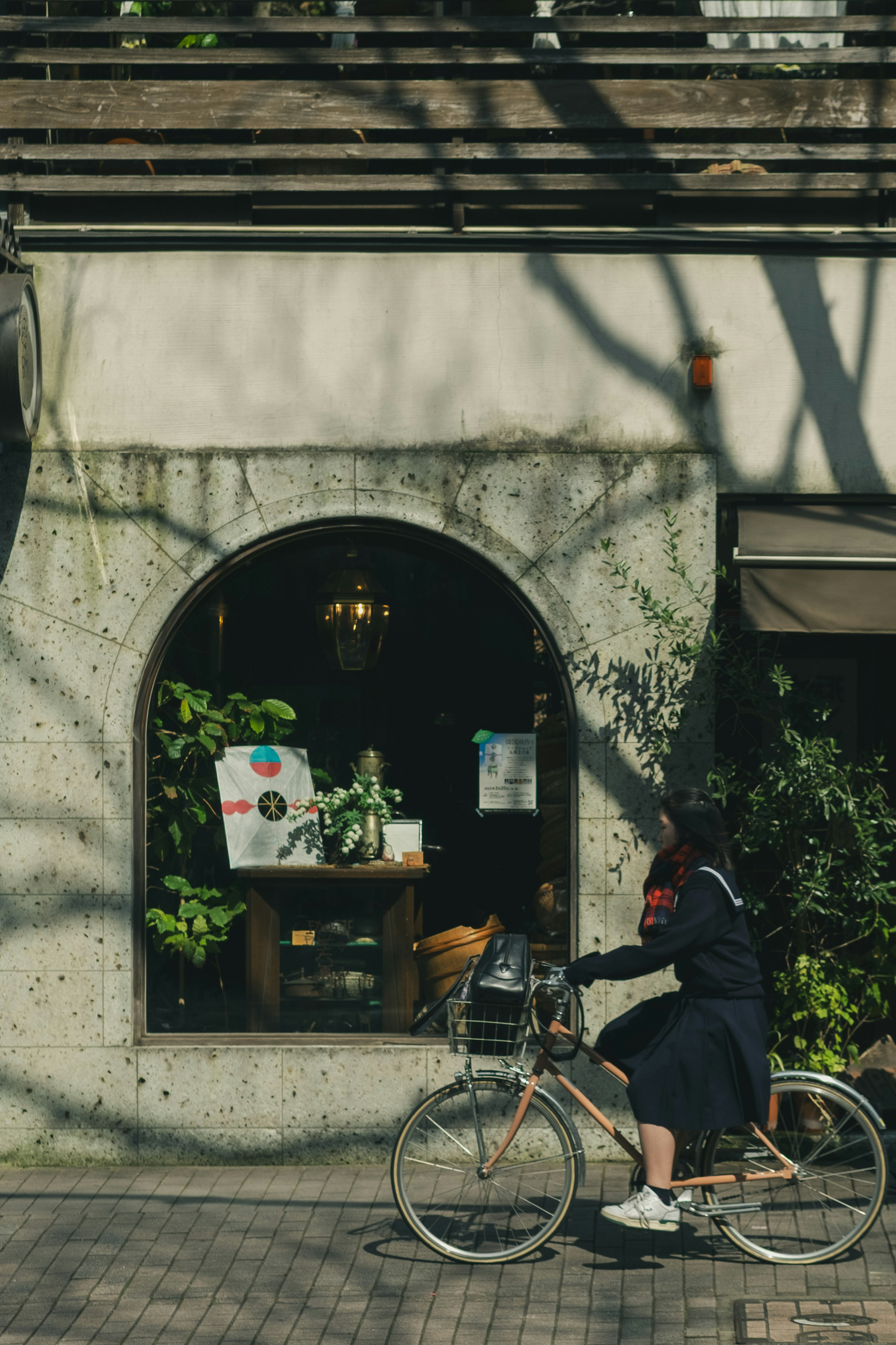 Una persona montando en bicicleta pasa frente a una ventana de tienda con plantas y decoraciones visibles en una ventana arqueada