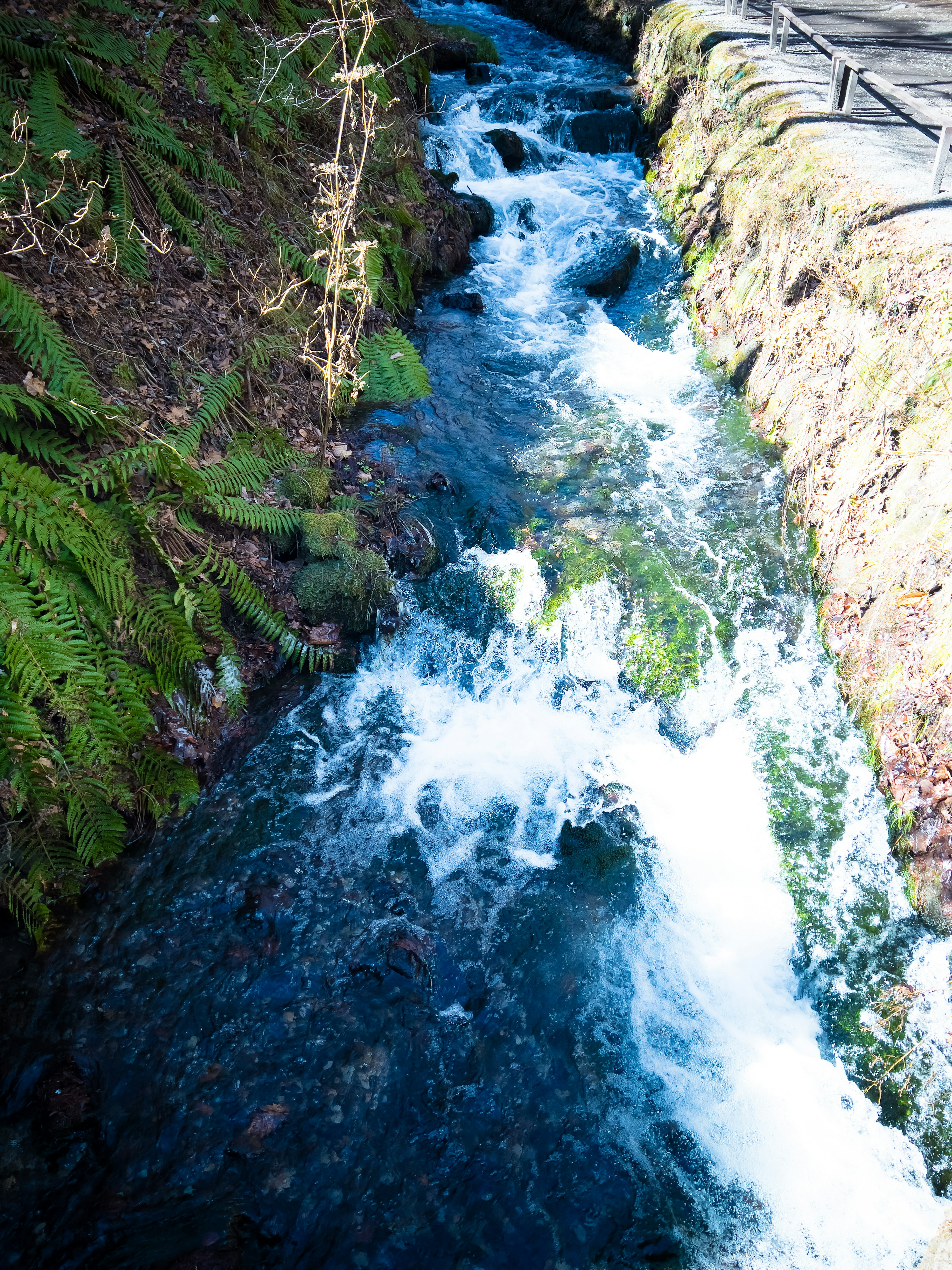 Rauschender Bach mit klarem Wasser und moosbedeckten Steinen