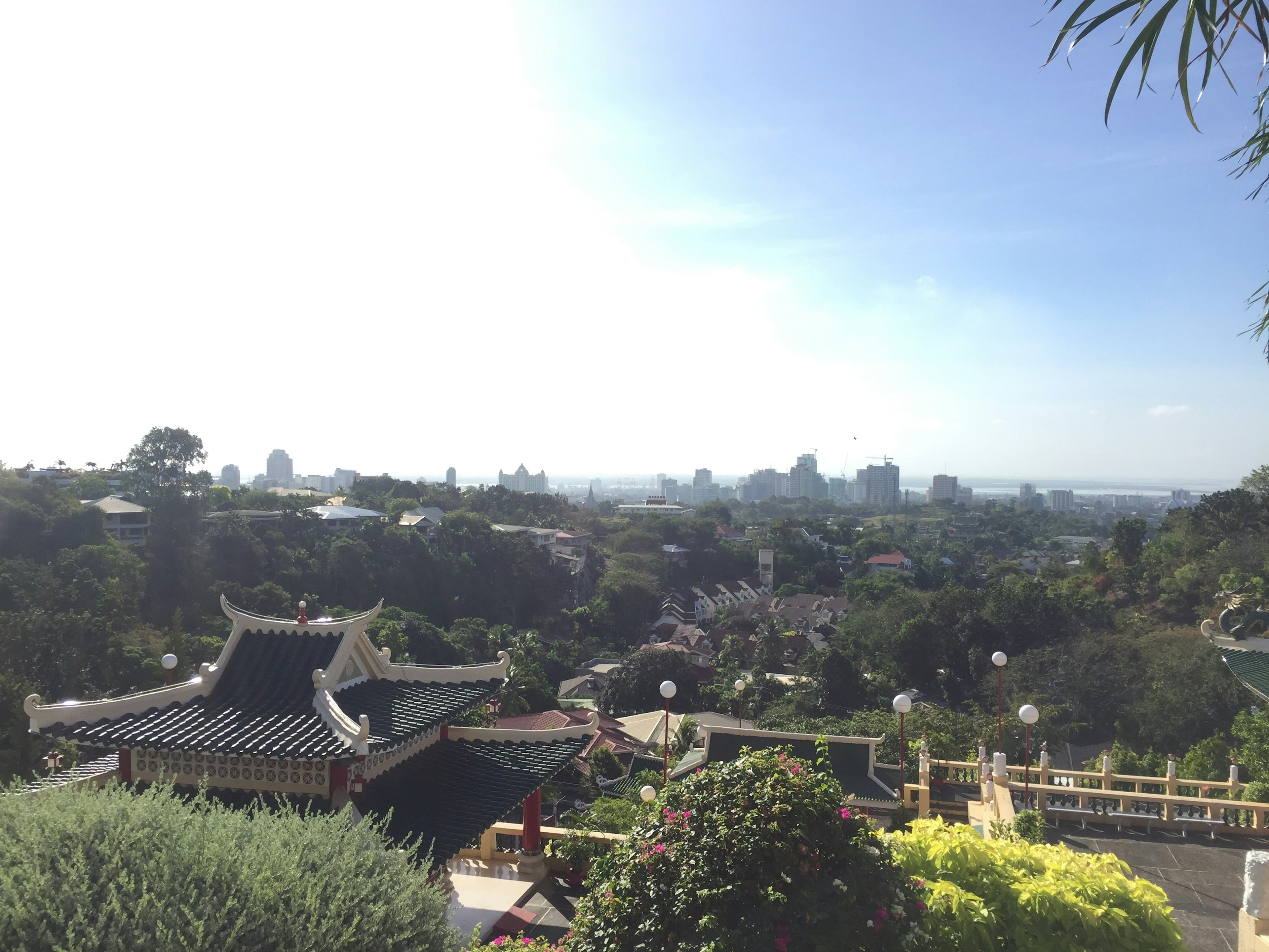 美しい景色の中に伝統的な建築様式の屋根が見える緑豊かな公園と都市の遠景