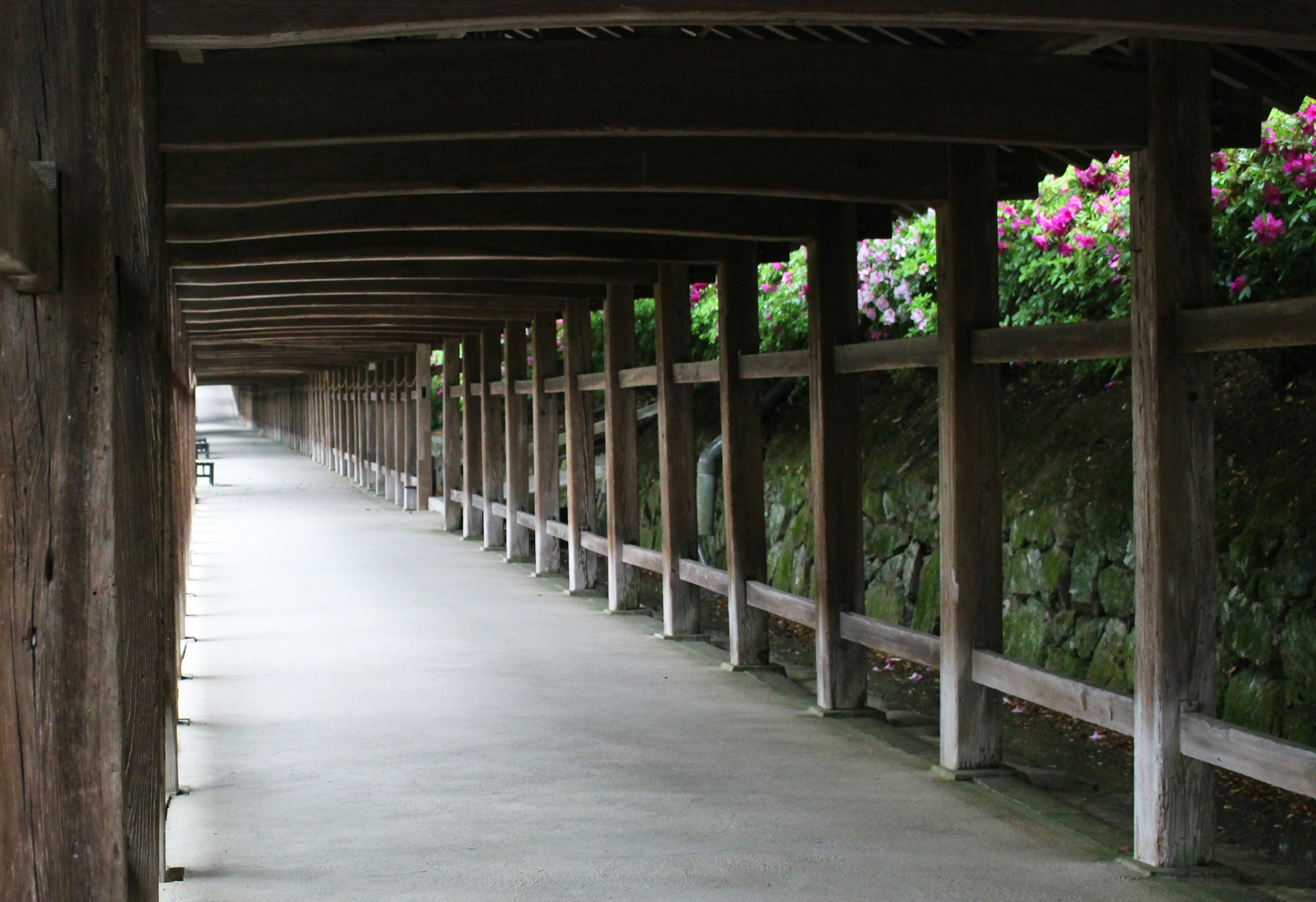 Quiet walkway under a wooden structure with blooming flowers along the side