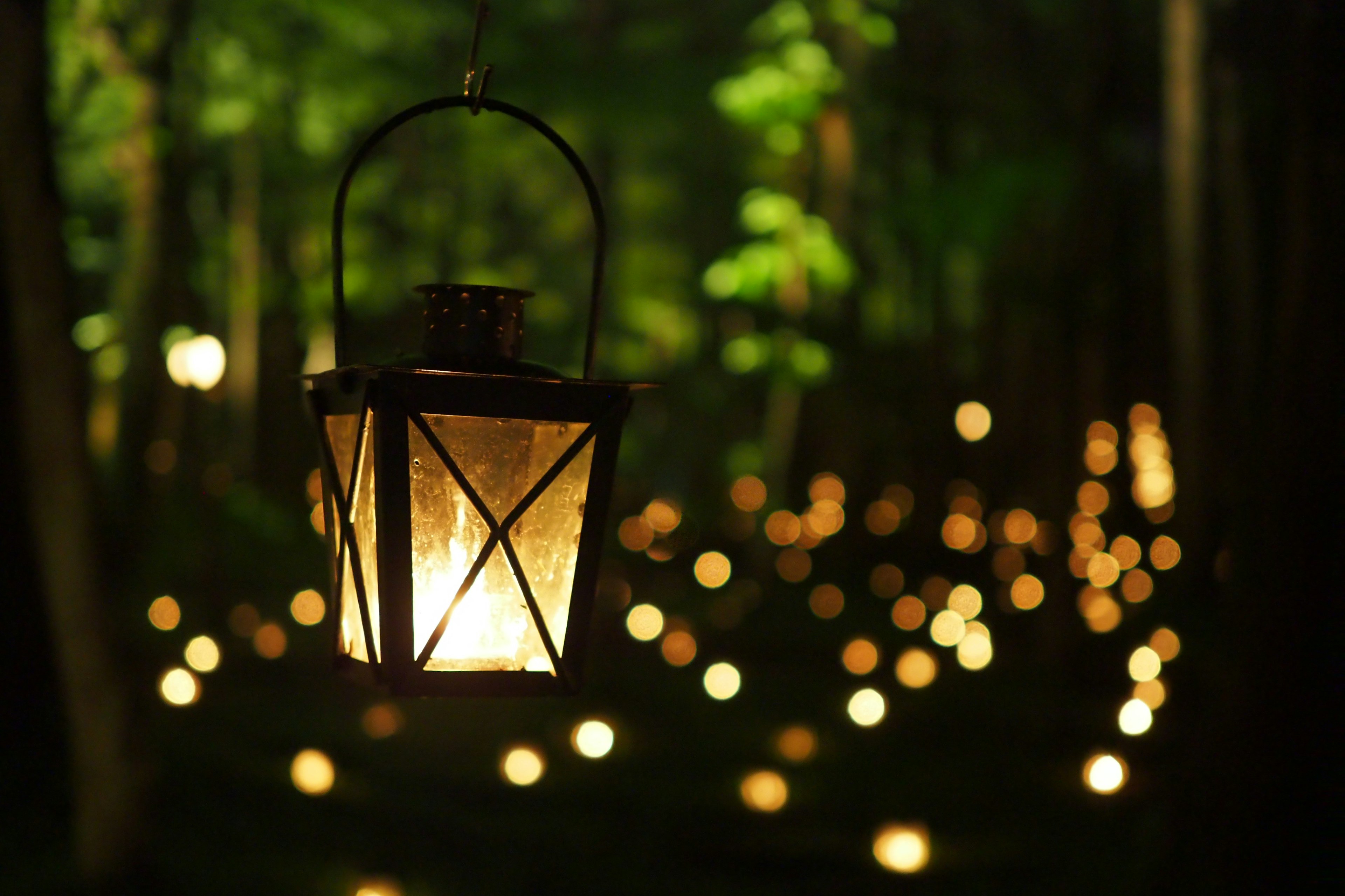 Lantern hanging in a forest with soft glowing lights surrounding it