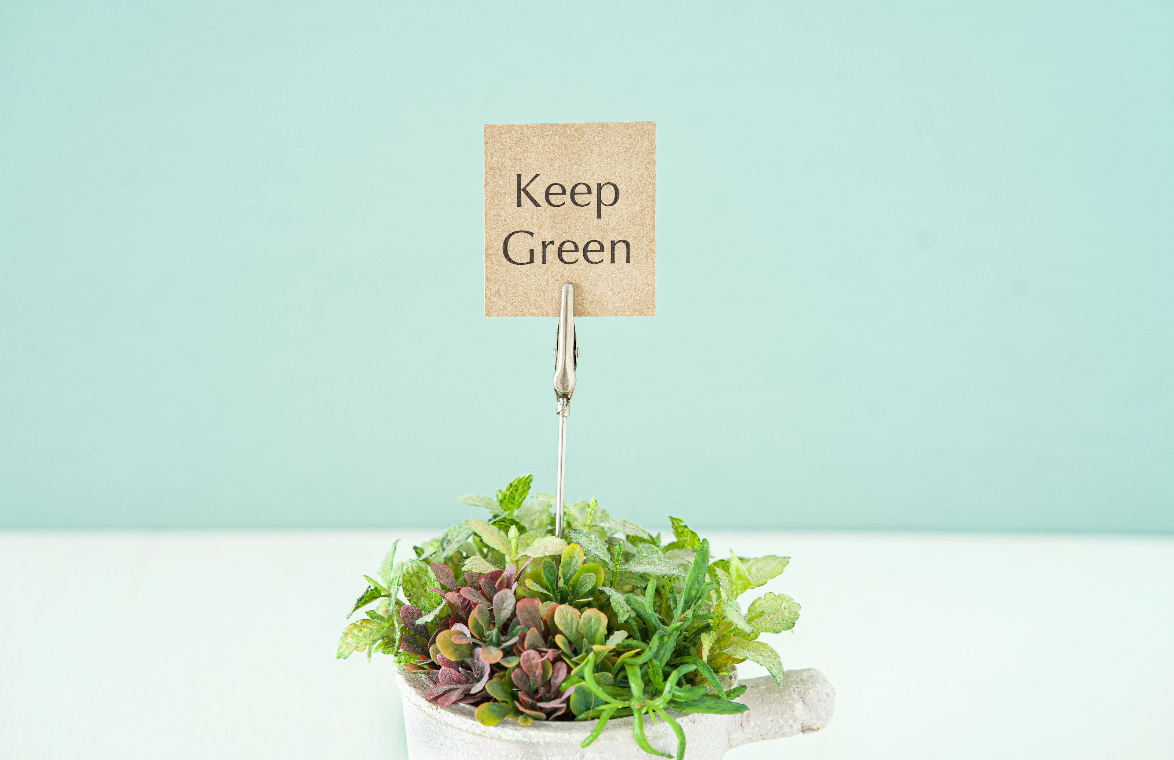 Kleiner Topf mit grünen Pflanzen und einem Schild mit der Aufschrift Keep Green