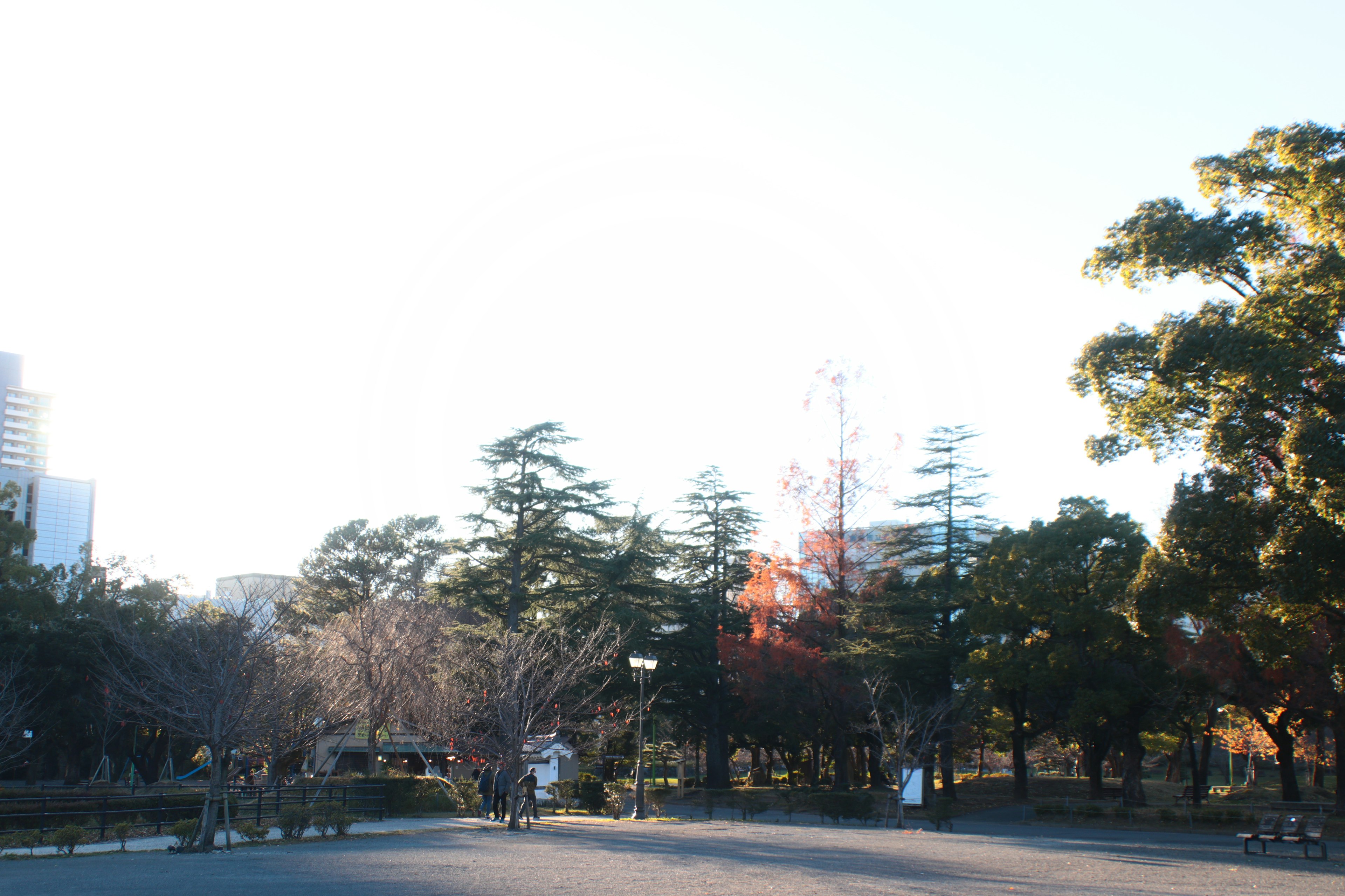 Vista del parque con la Torre de Tokio al fondo