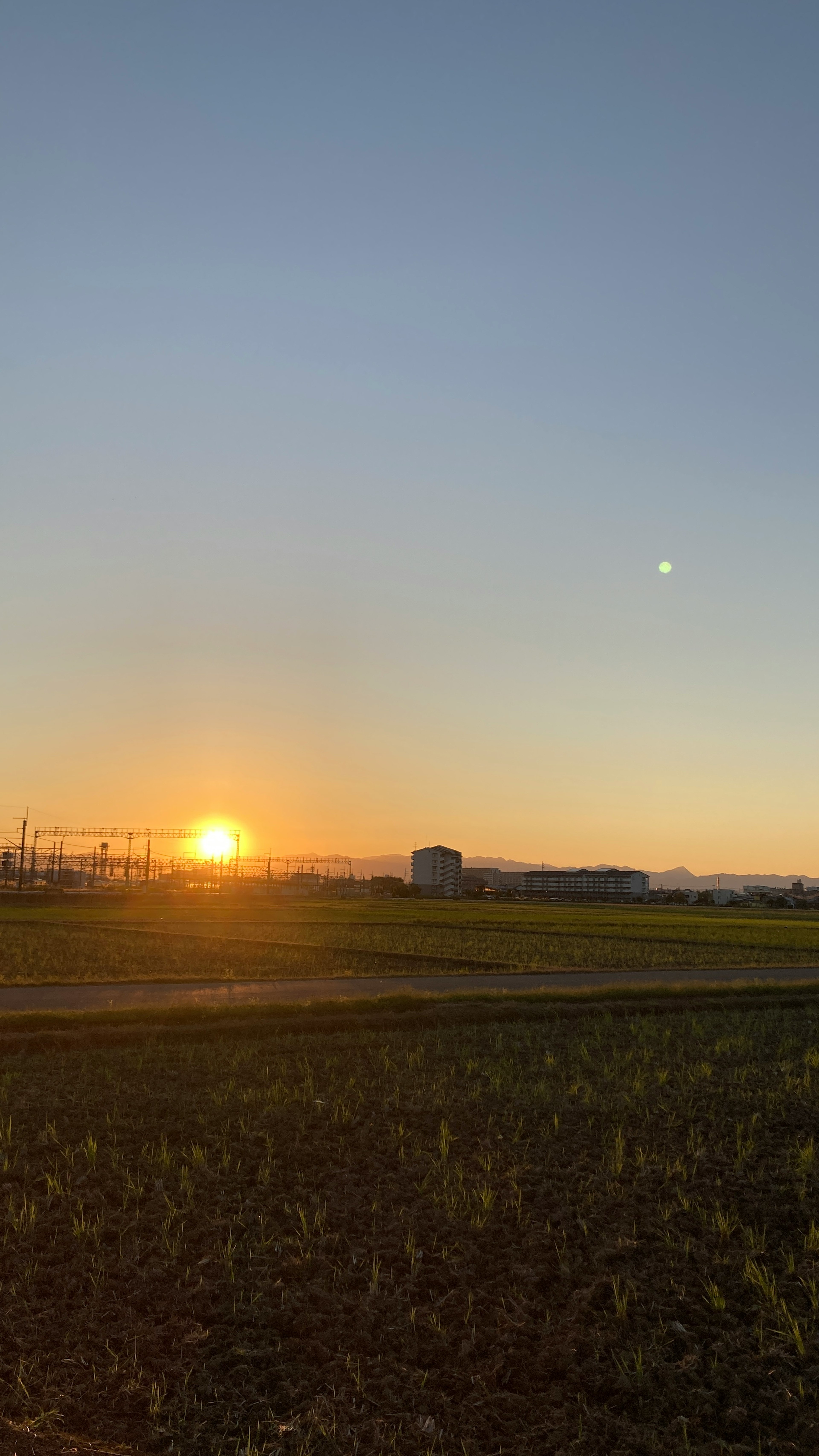 Vue pittoresque du coucher de soleil et de la lune sur des champs