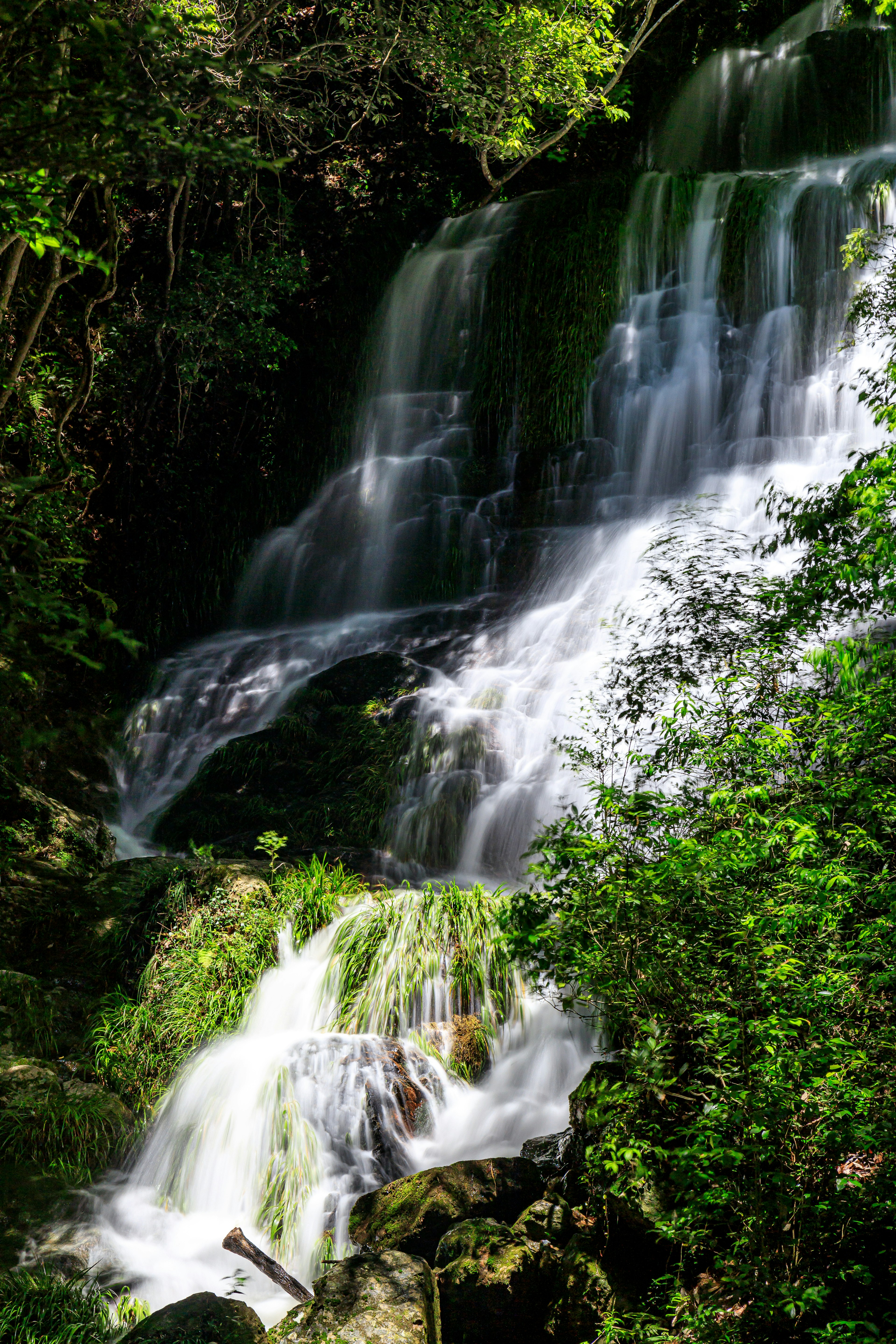 Hermosa cascada que fluye a través de un bosque verde