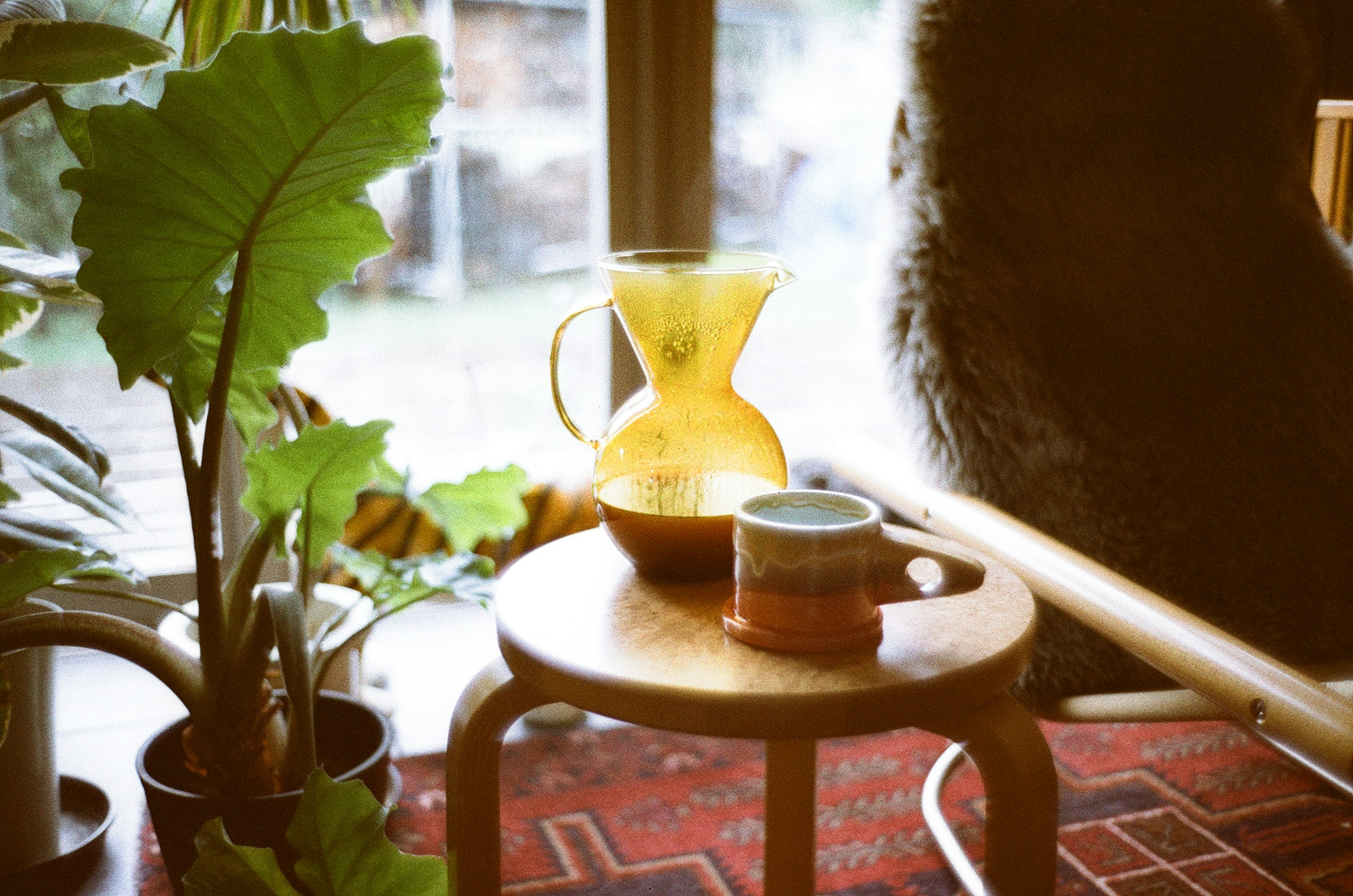 Pichet jaune et tasse sur une table près de la fenêtre avec des plantes et une lumière douce