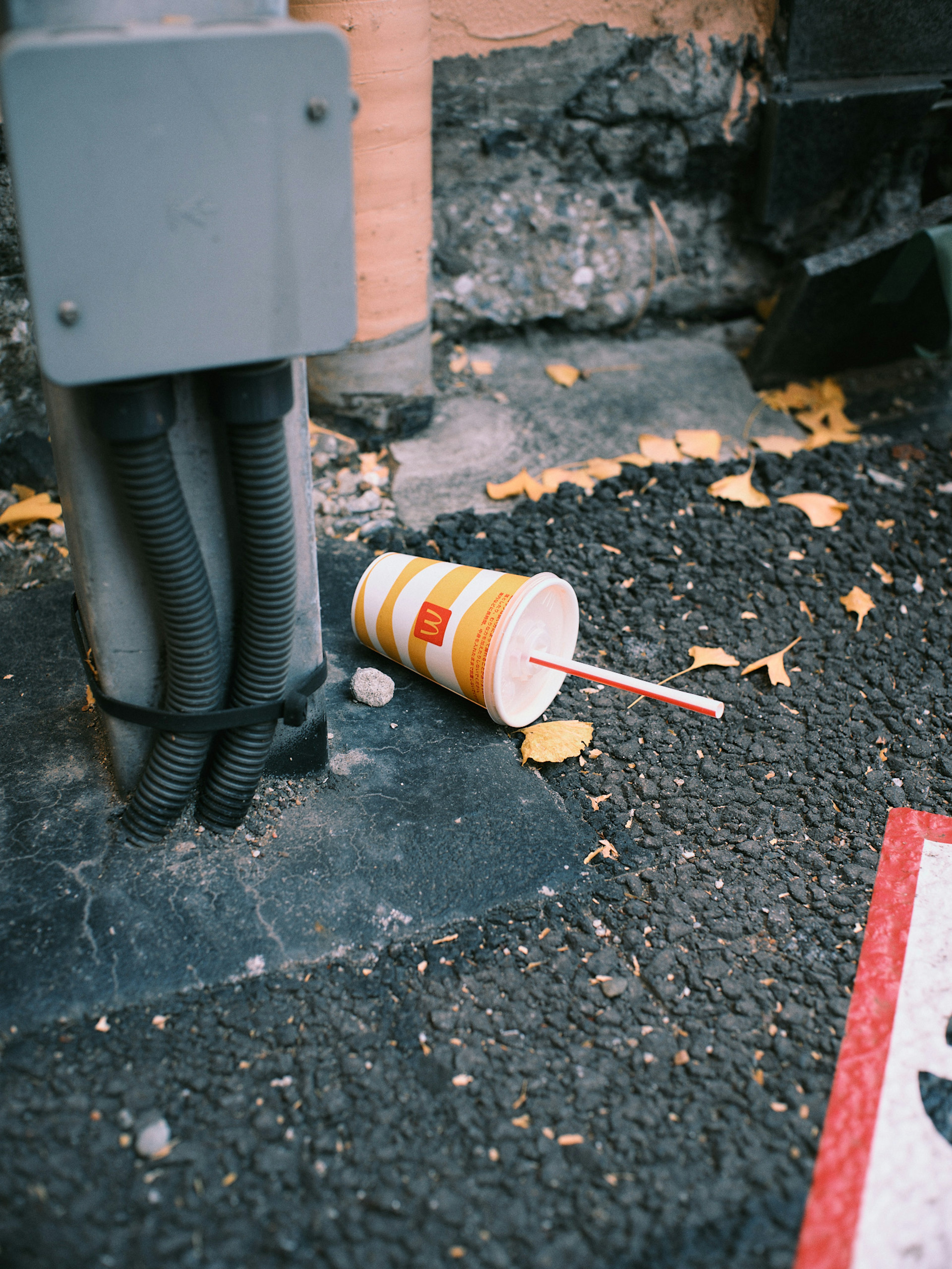 Ein umgefallener Becher auf dem Boden mit herumliegenden Blättern