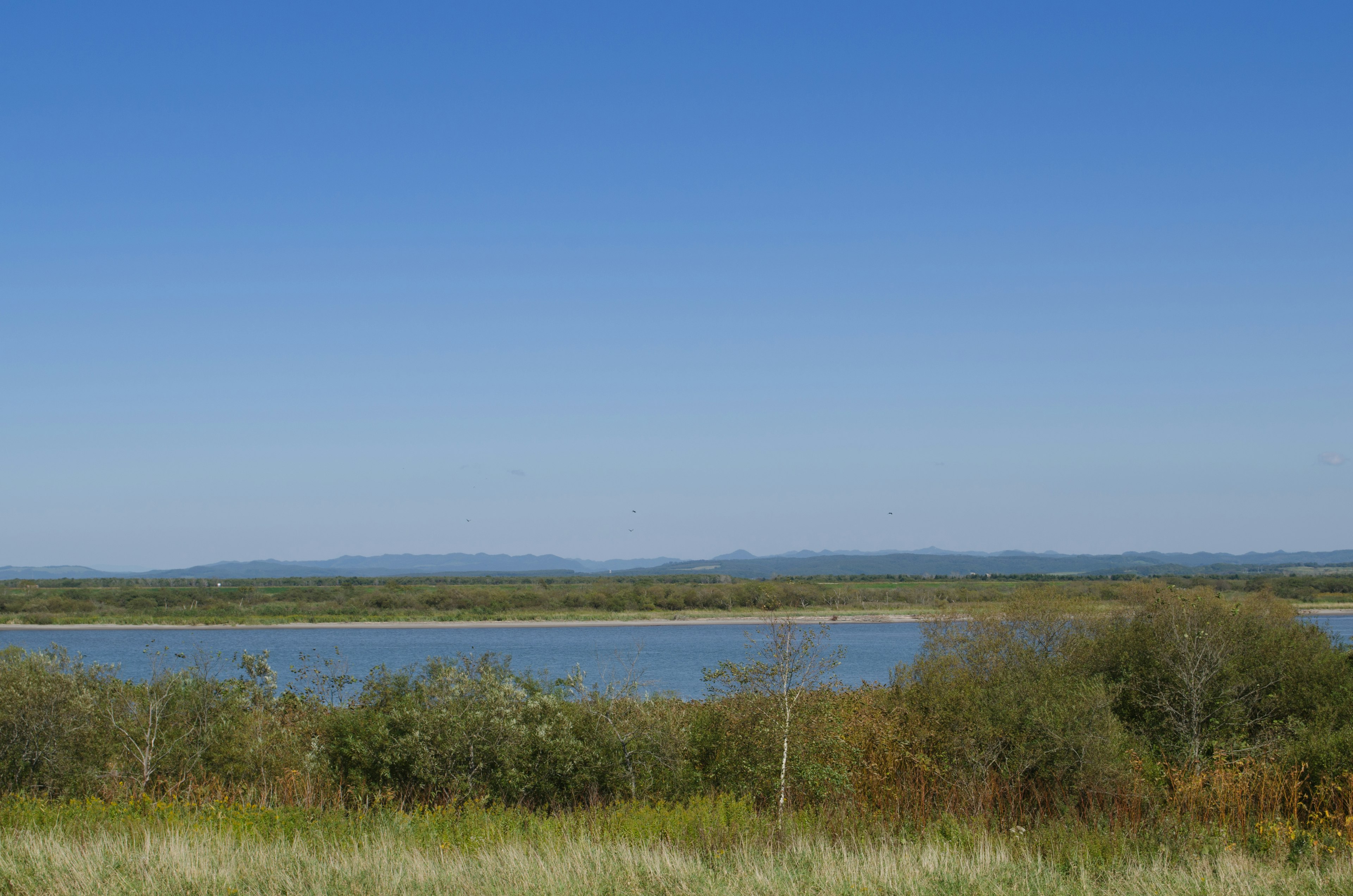 Un paesaggio sereno con un fiume calmo sotto un cielo blu chiaro e vegetazione lussureggiante